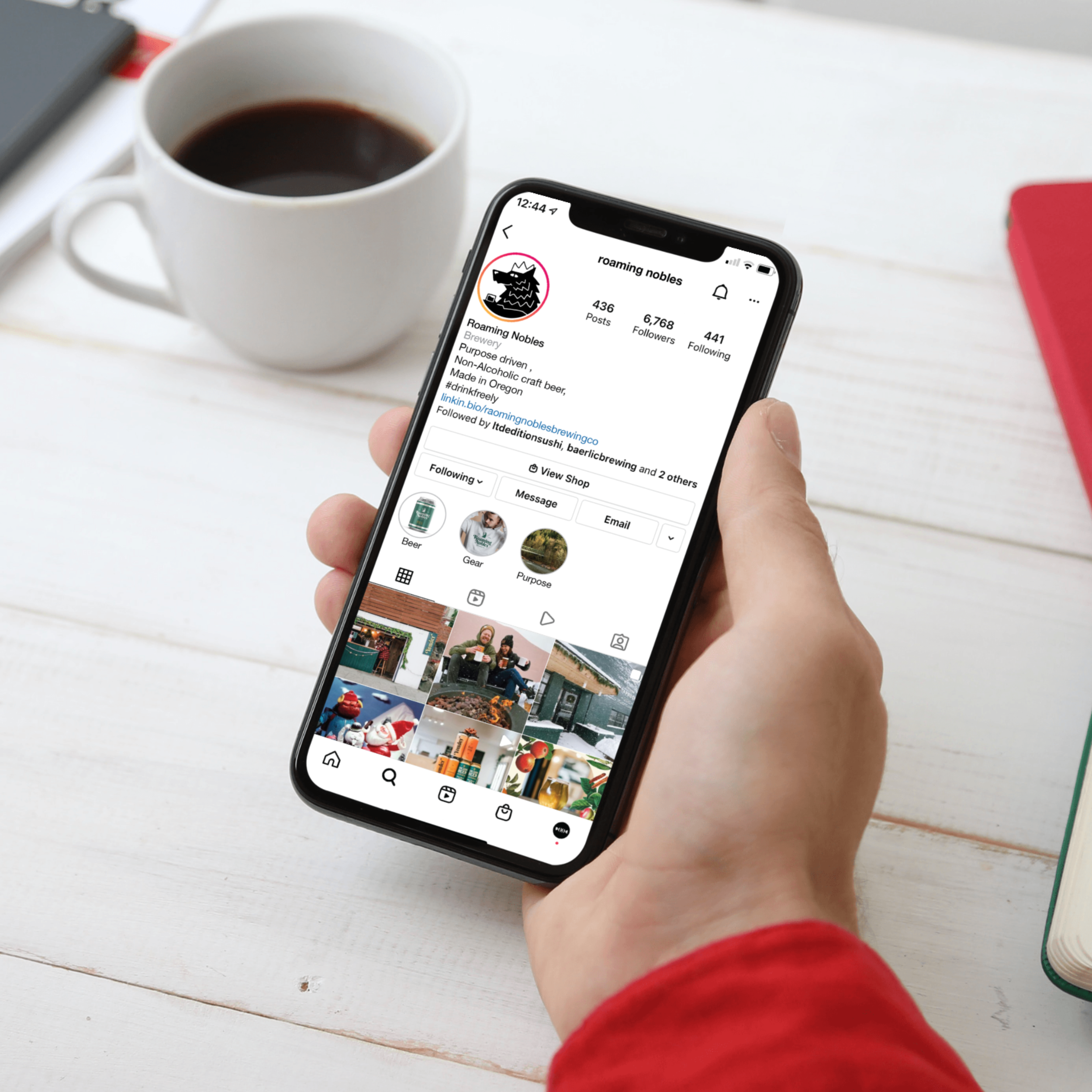 Roaming Nobles phone mockup.png