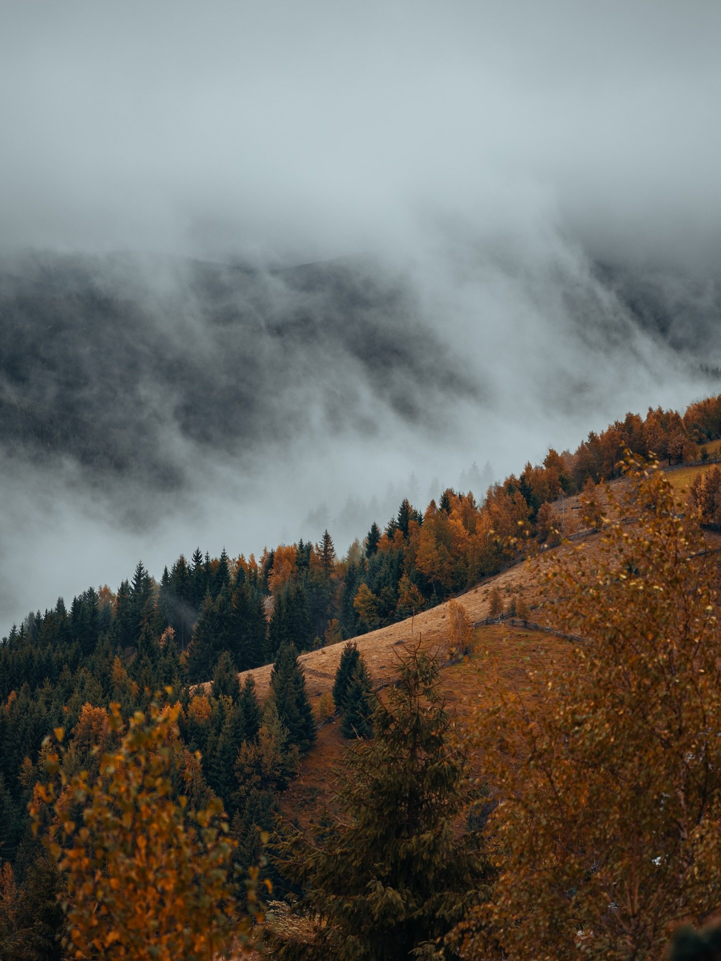 The raw power of nature🍁🤎 

#nature #landscape #photography #cozy #autumn #fall #foggy #camping #forest #romania