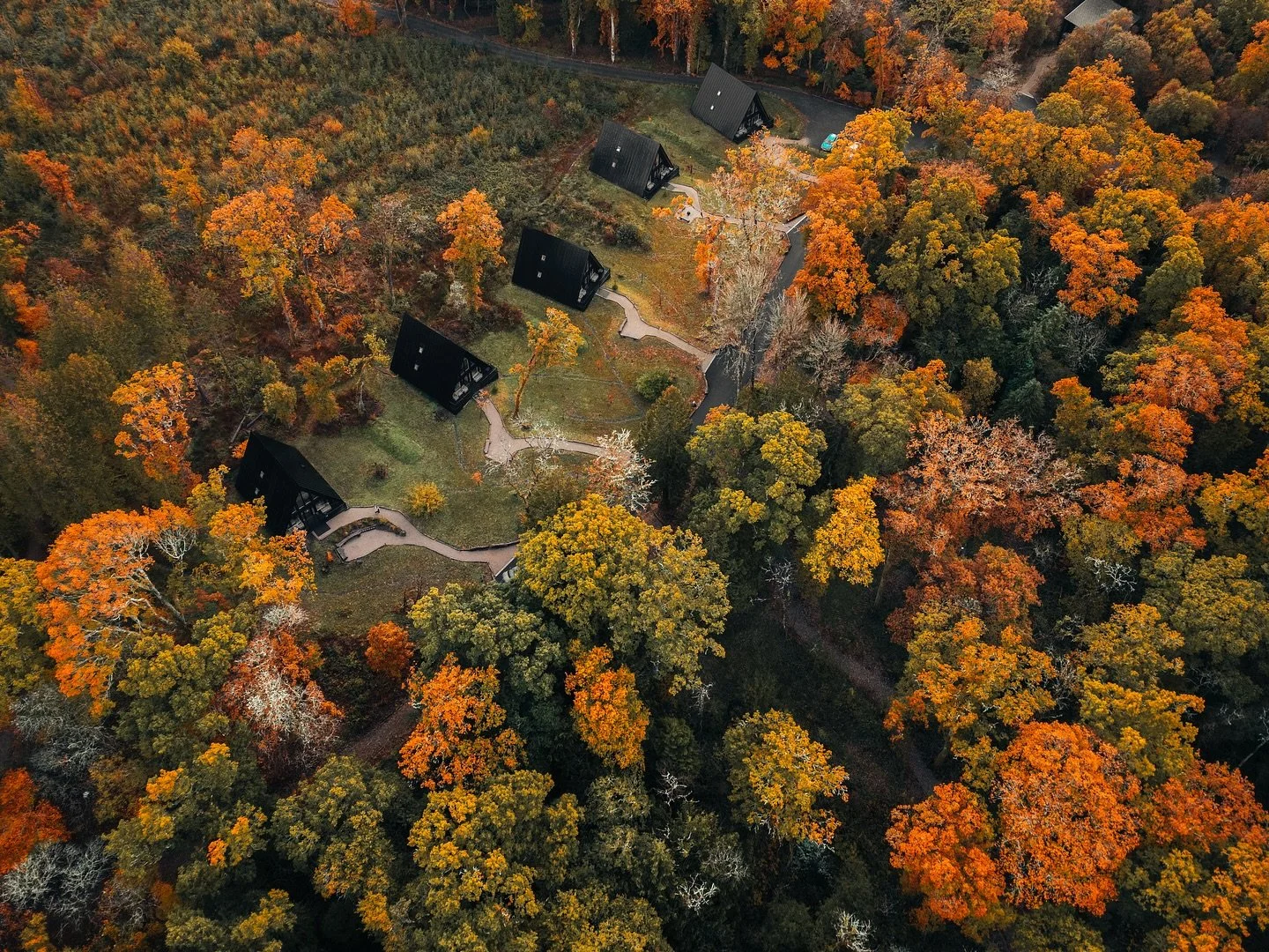 A gentle symphony of gold, amber, and crimson hidden in the heart of the Irish wilderness🍁🤎

#fall #autumn #nature #forest #cabin #camping #ireland #aesthetic #folk #dji