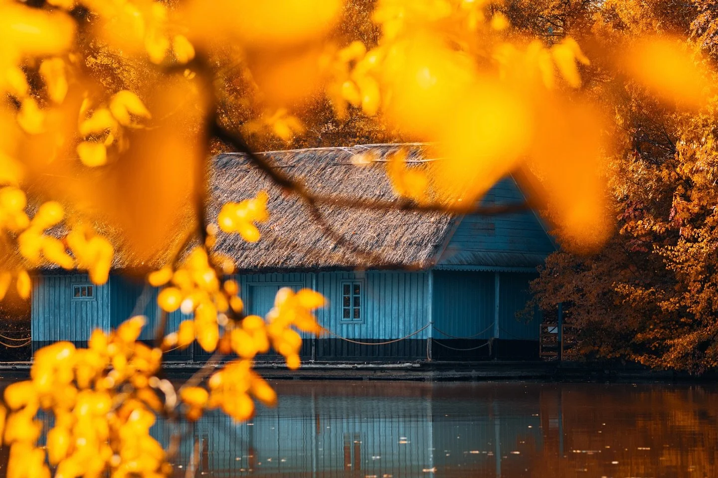 Toamnă prin București🍁

#toamna #bucuresti #bucharest #ig_romania #romania #autumn #fall #romaniamagica