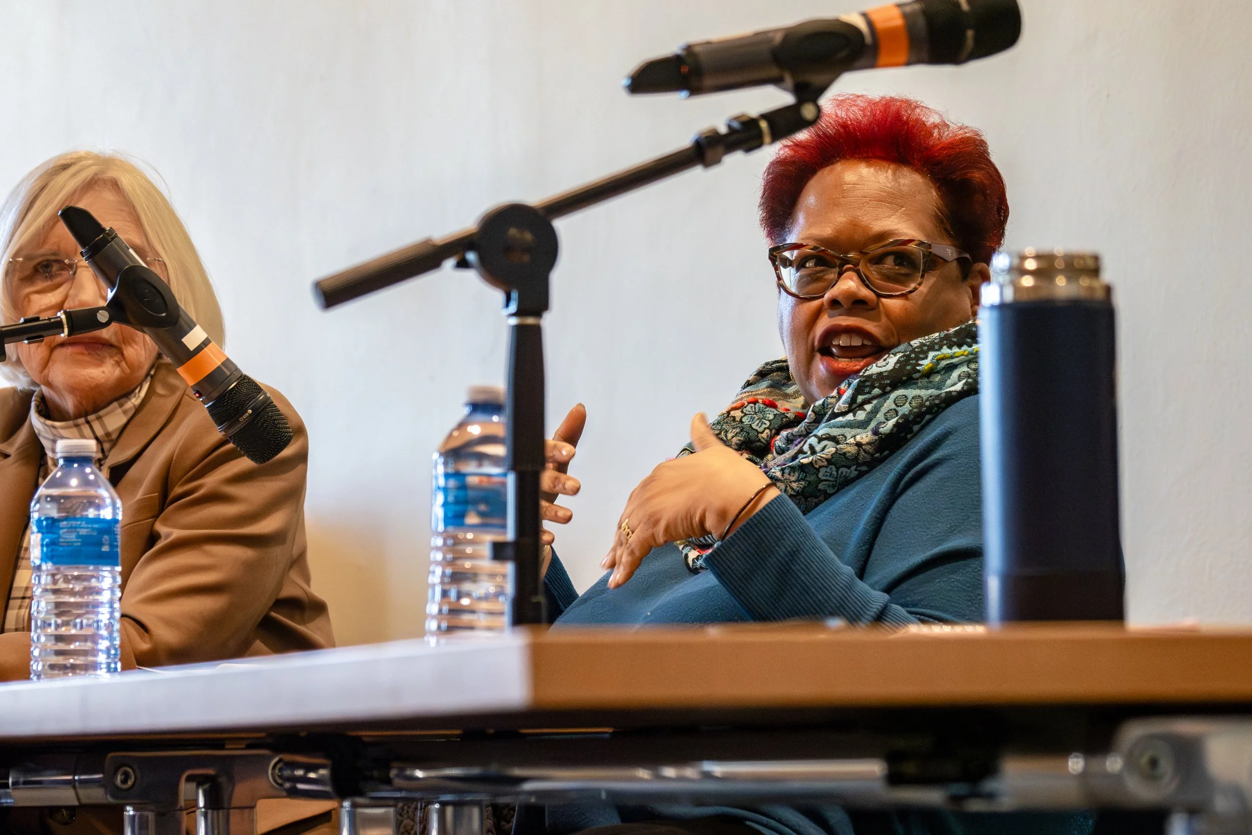Panelist speaking into microphone
