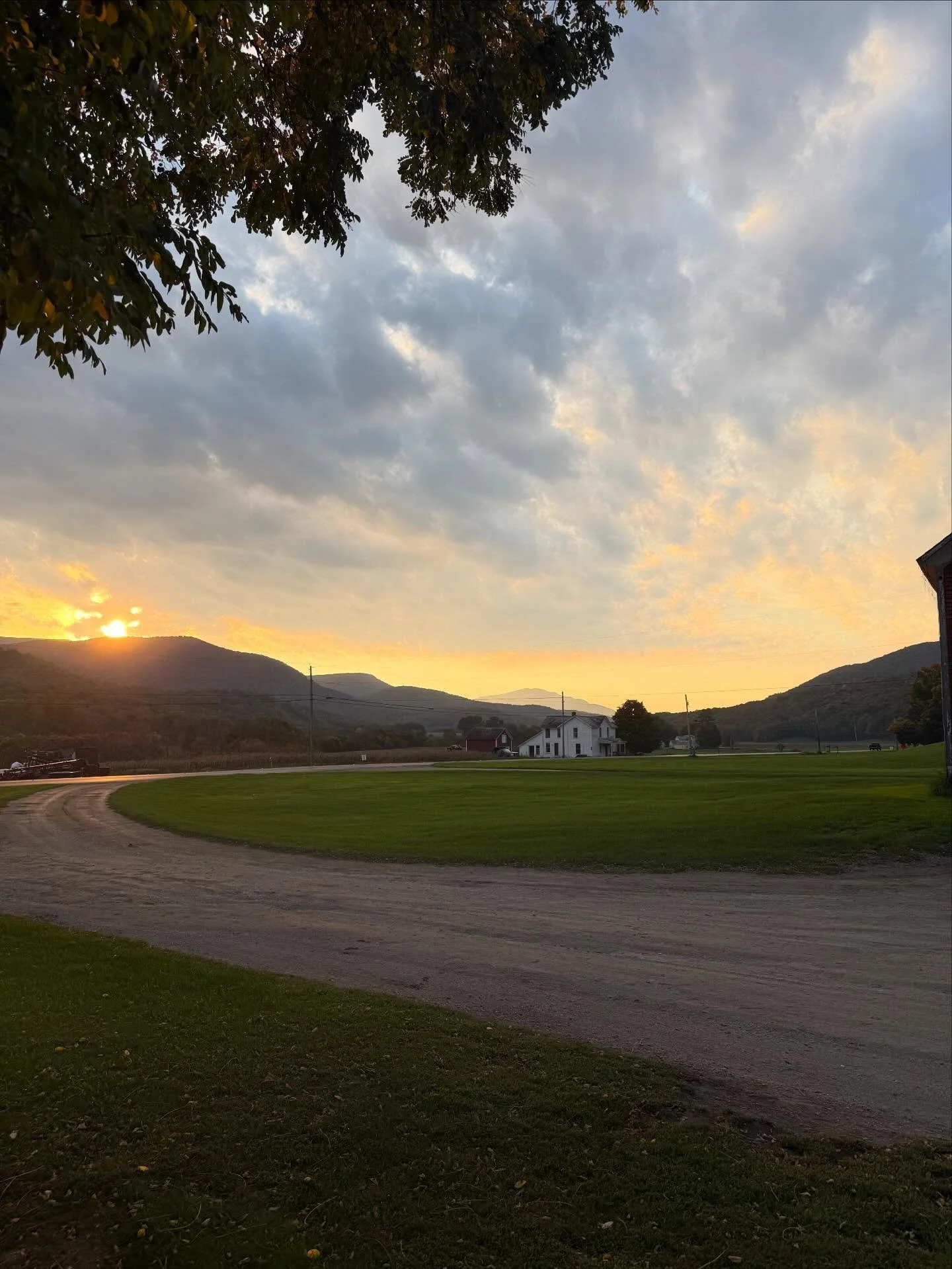 One of our kids snagged this photo on his way to school this morning. Hard to imagine a more beautiful place to farm and make cheese than Vermont.

@woodlawnfarmvt
