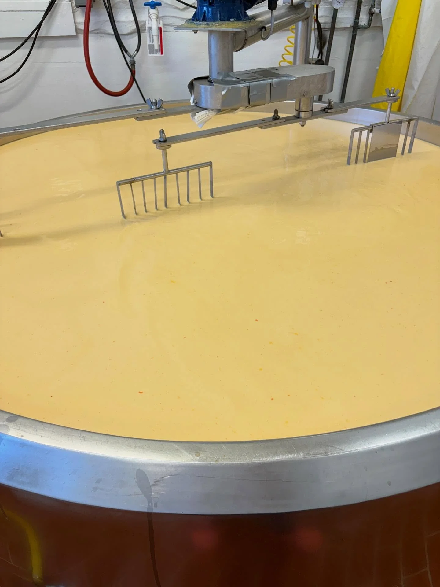 Why yes, we are thinking about next year&rsquo;s Halloween themed Rupert Reserve. How did you know?

#boopert h/t @bethchvalier 
#cheeselife