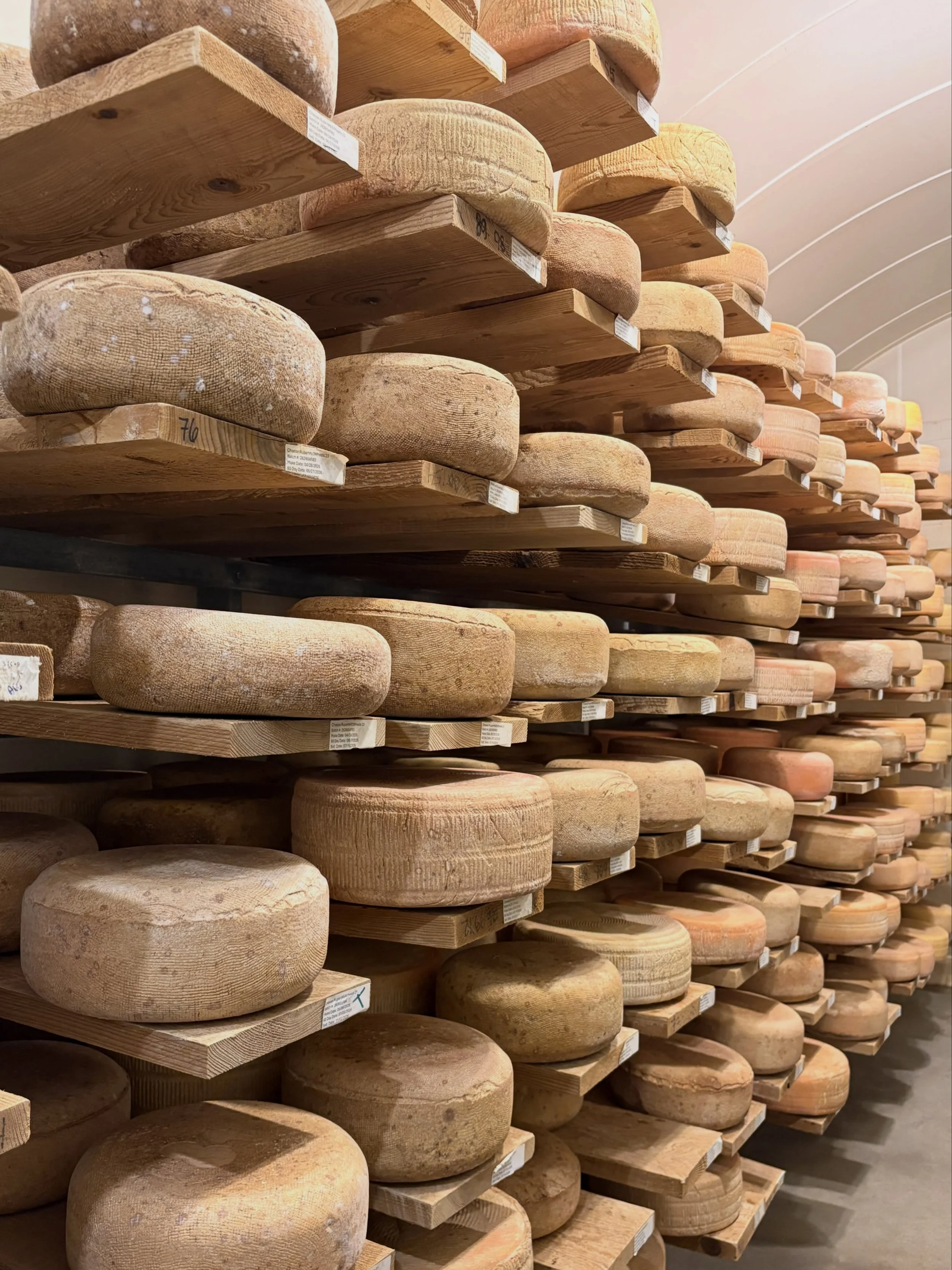 And that&rsquo;s what stepstools are for! Made the shift this week to go up another row so we have room for all the Rupert Leslie plans to make&hellip;

#cheesemaker #cheeselife @l_tyminski