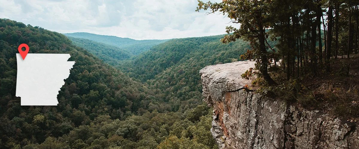 Designer with a Plan in Northwest Arkansas