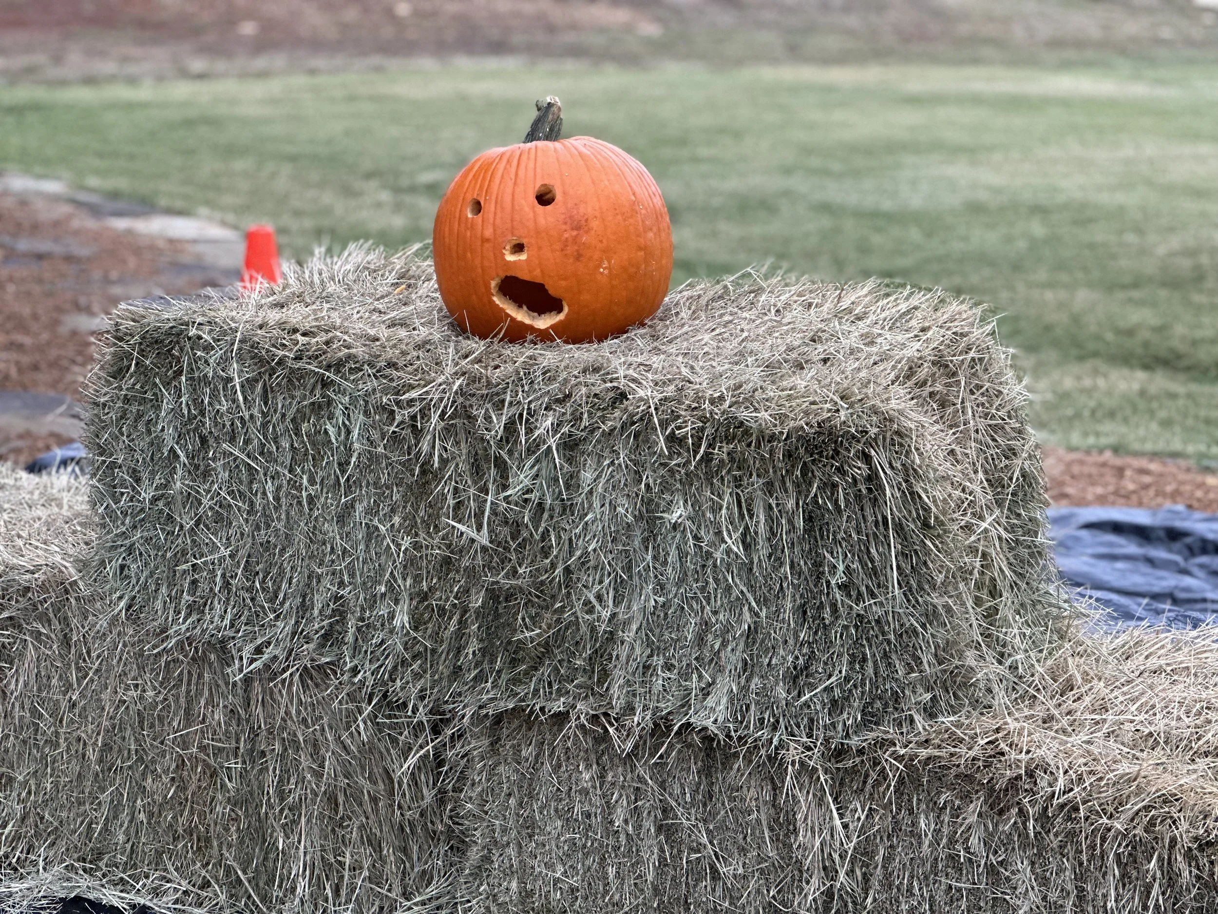 Halloween EXTRAVAGANZA