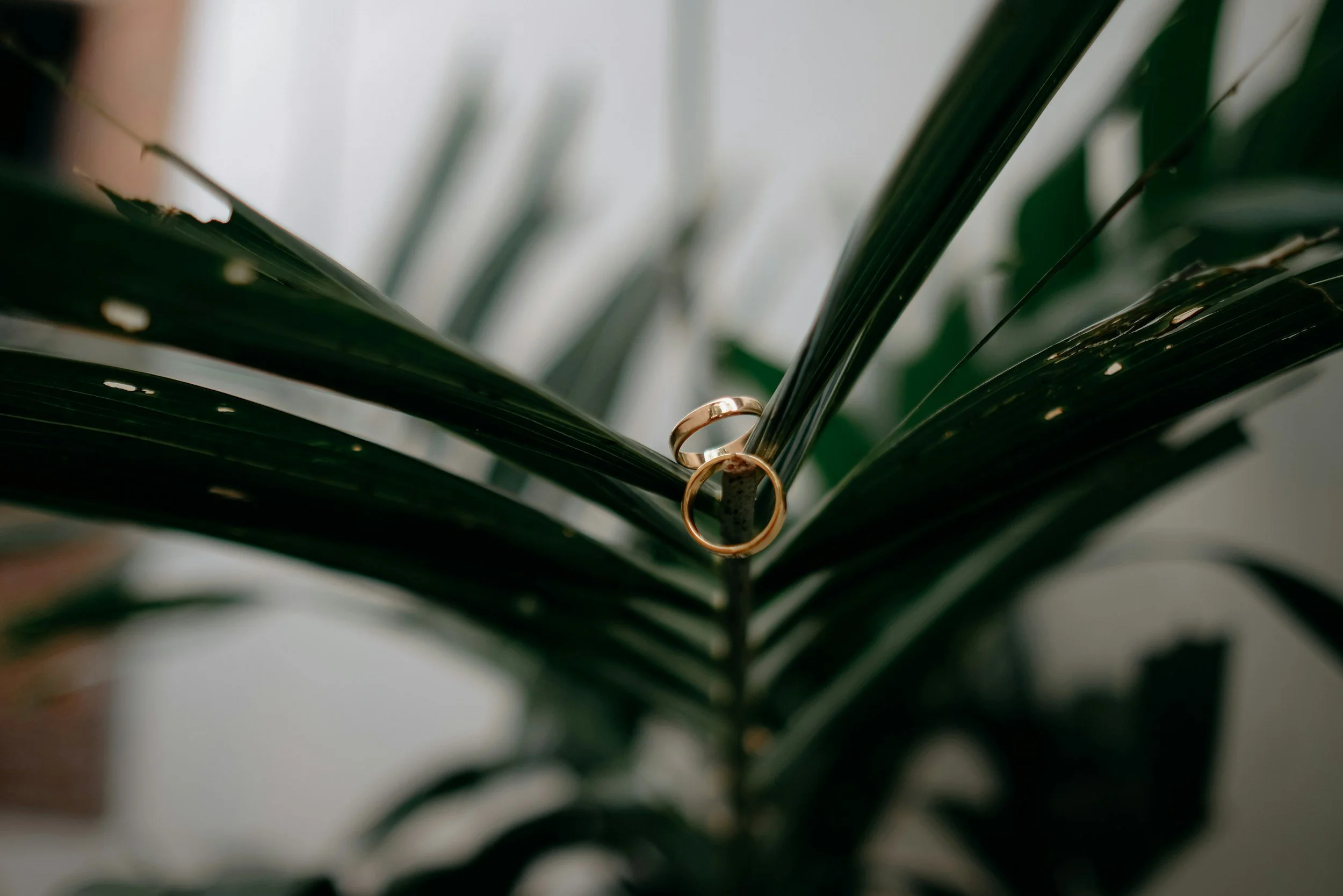 andrea lucia wedding photography
