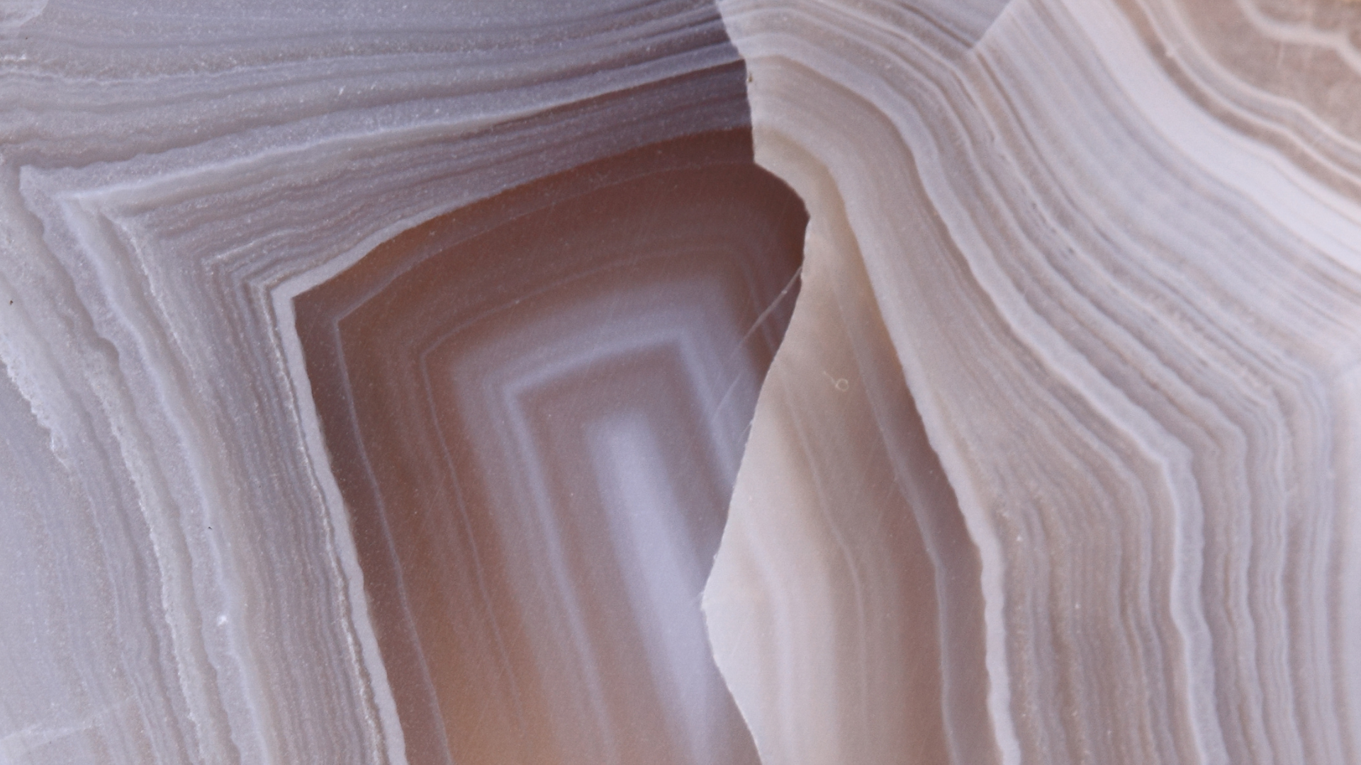 Close-up of layered mineral or stone with concentric bands in shades of brown, beige, and white.