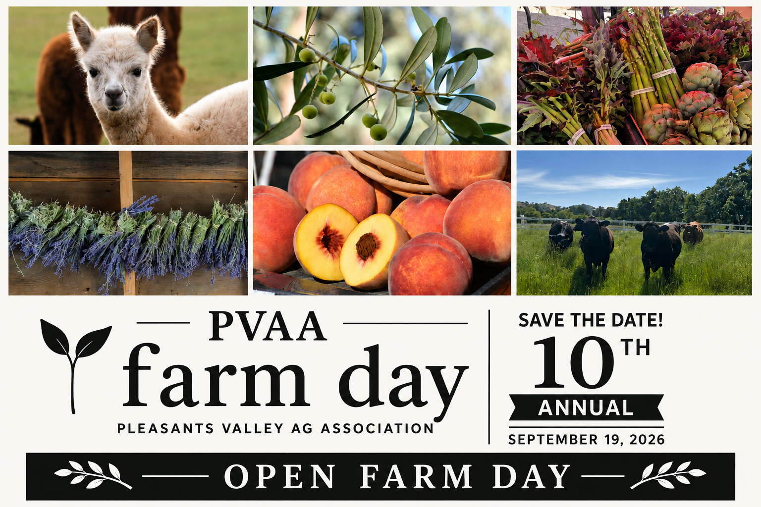 PVAA Open Farm Days