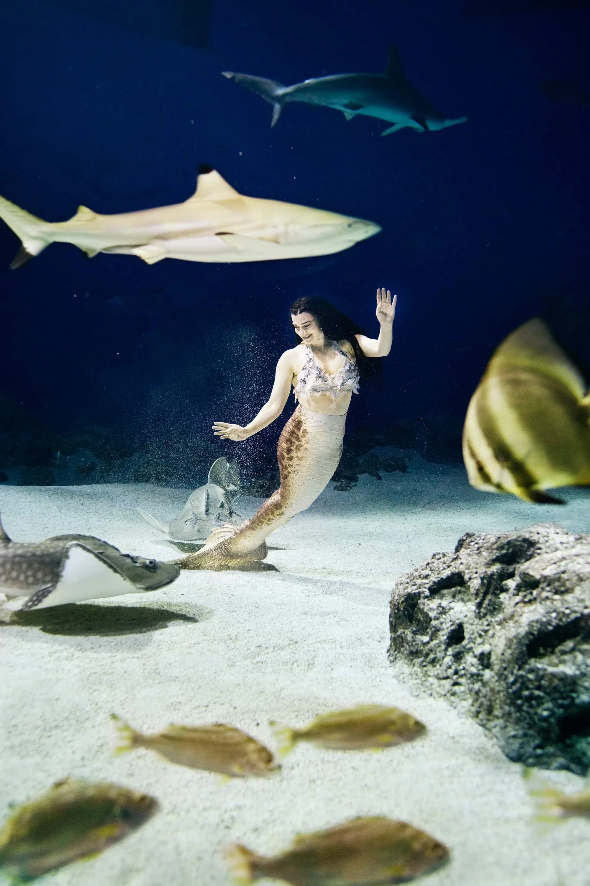 Forfattermøde i Veksø bogklub