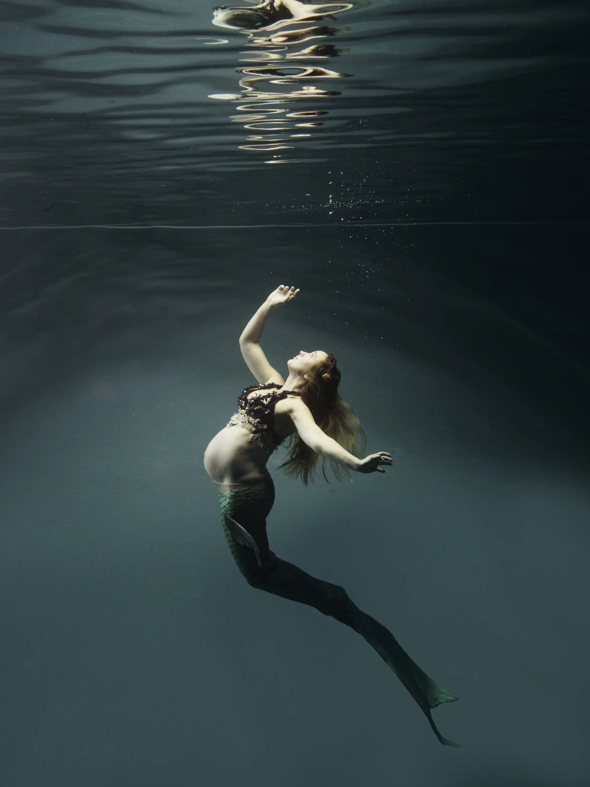 havfrue gravid_0111a.JPG