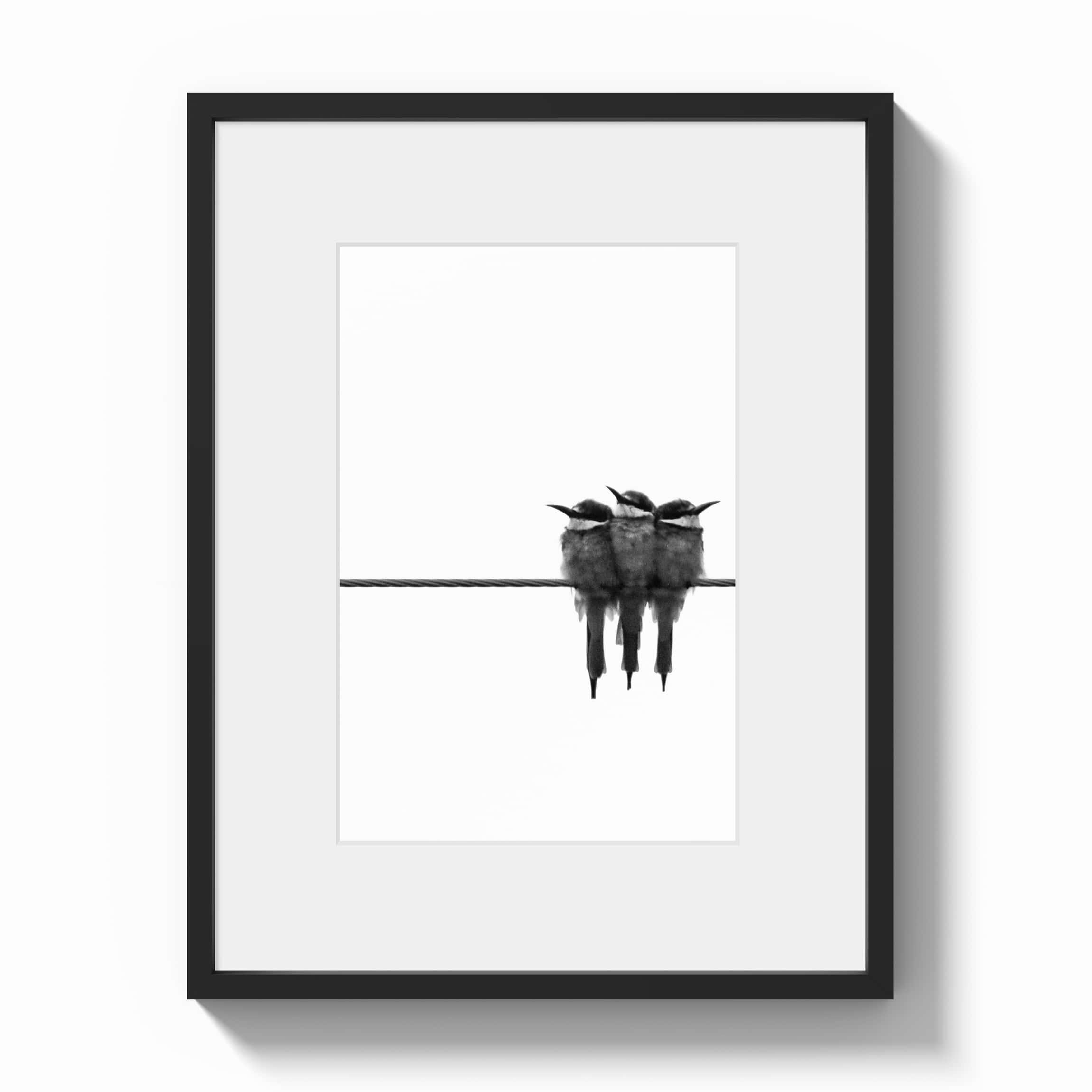 three birds on a wire black and white print with black wood frame