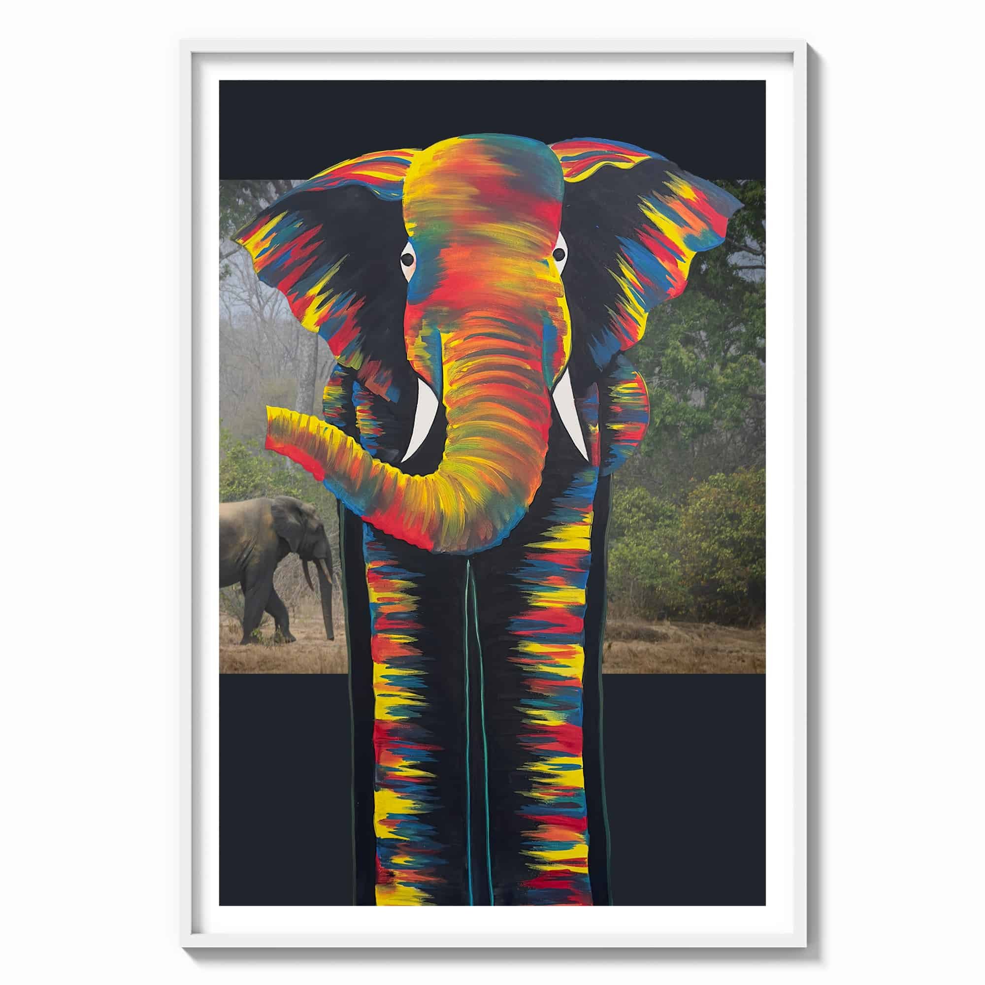 color-bg-elephant-red-yellow-blue-hues-portrait-thin-matte-white-frame.jpg