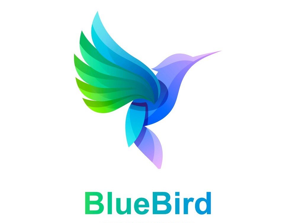 Bluebird College &amp; Career Consulting Services