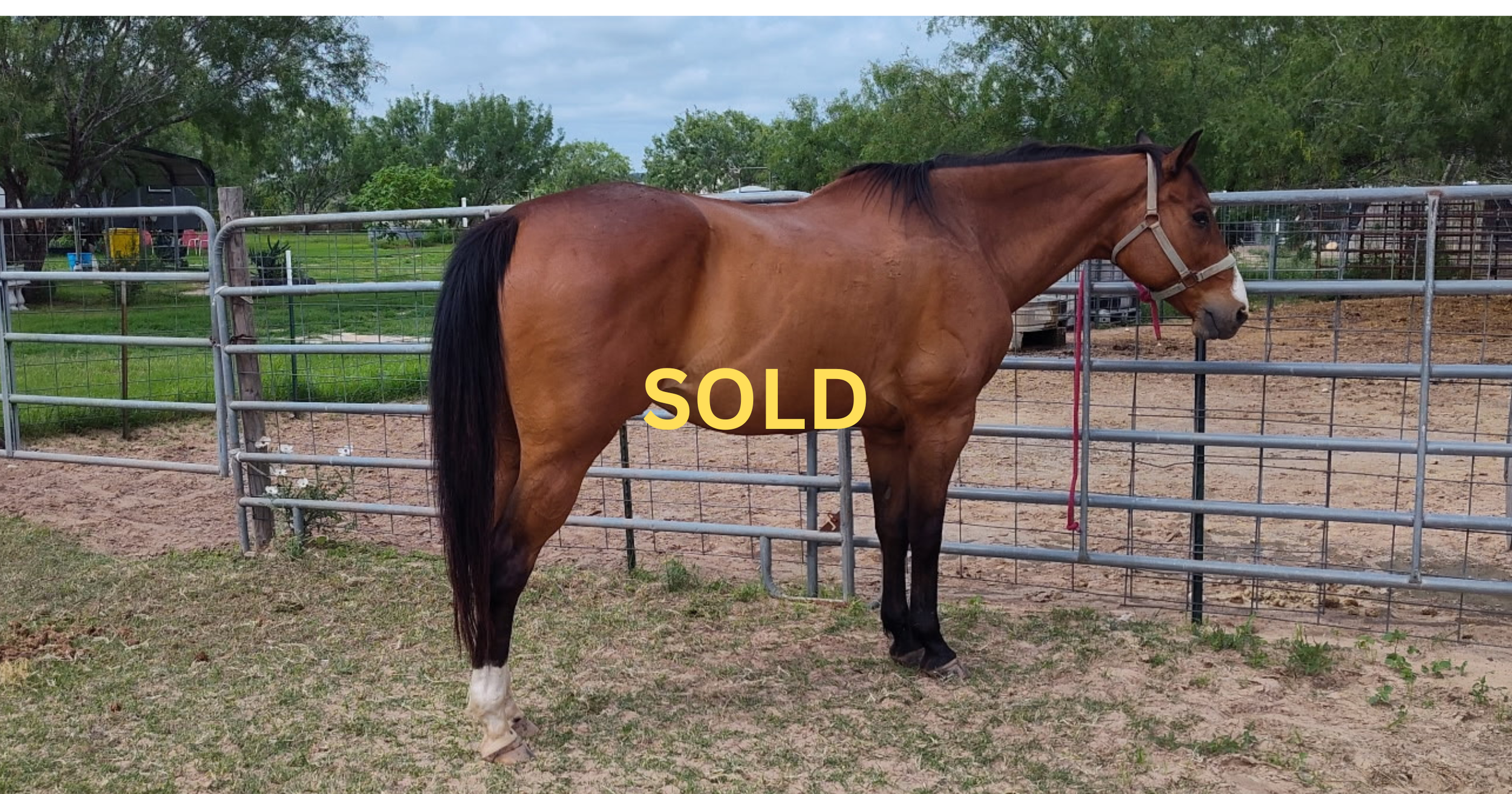 Big Bay Sold.png