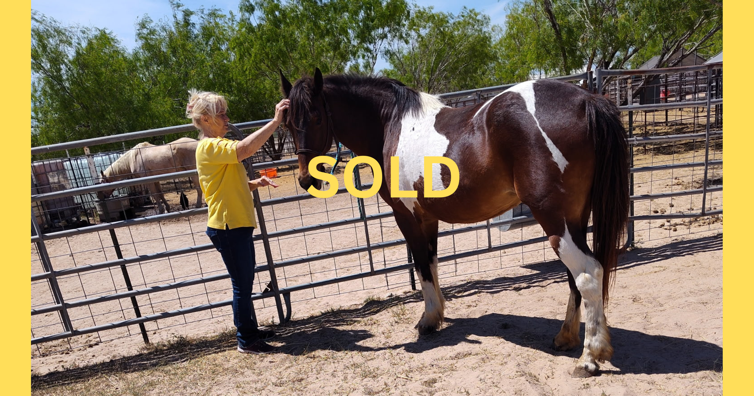 Sierra Sold.png