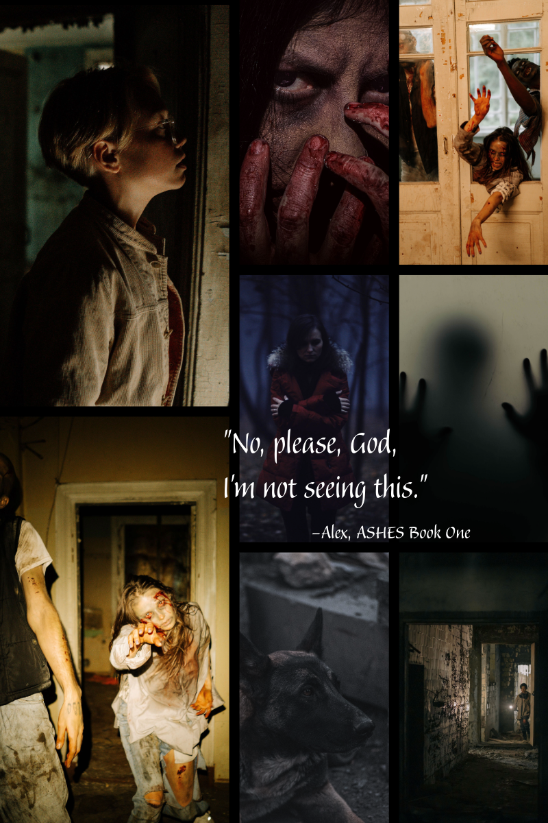 Four Reasons Why ‘Ashes’ is One of the Best Zombie Apocalypse Novels