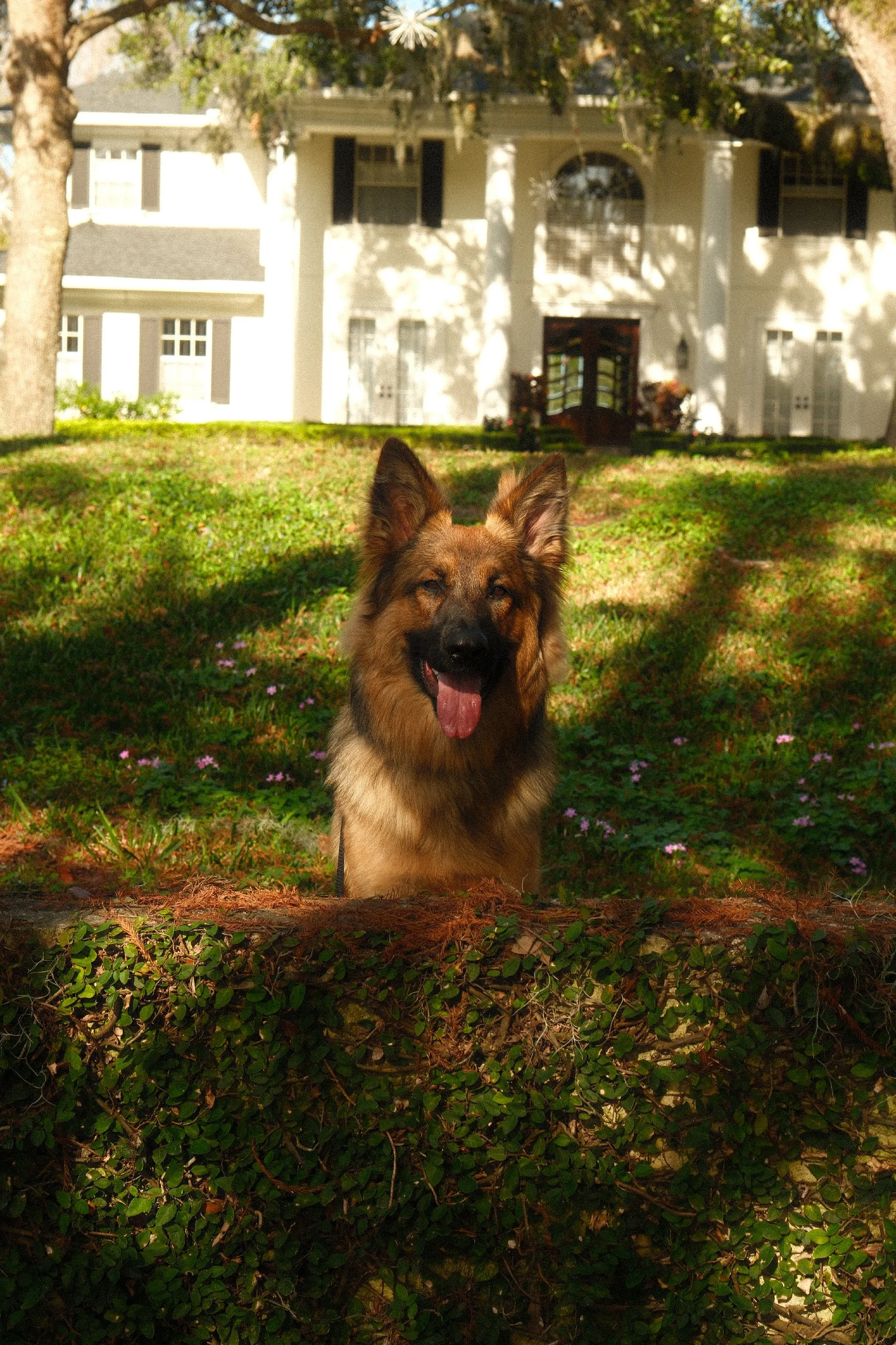 KLAUS1-01.jpg