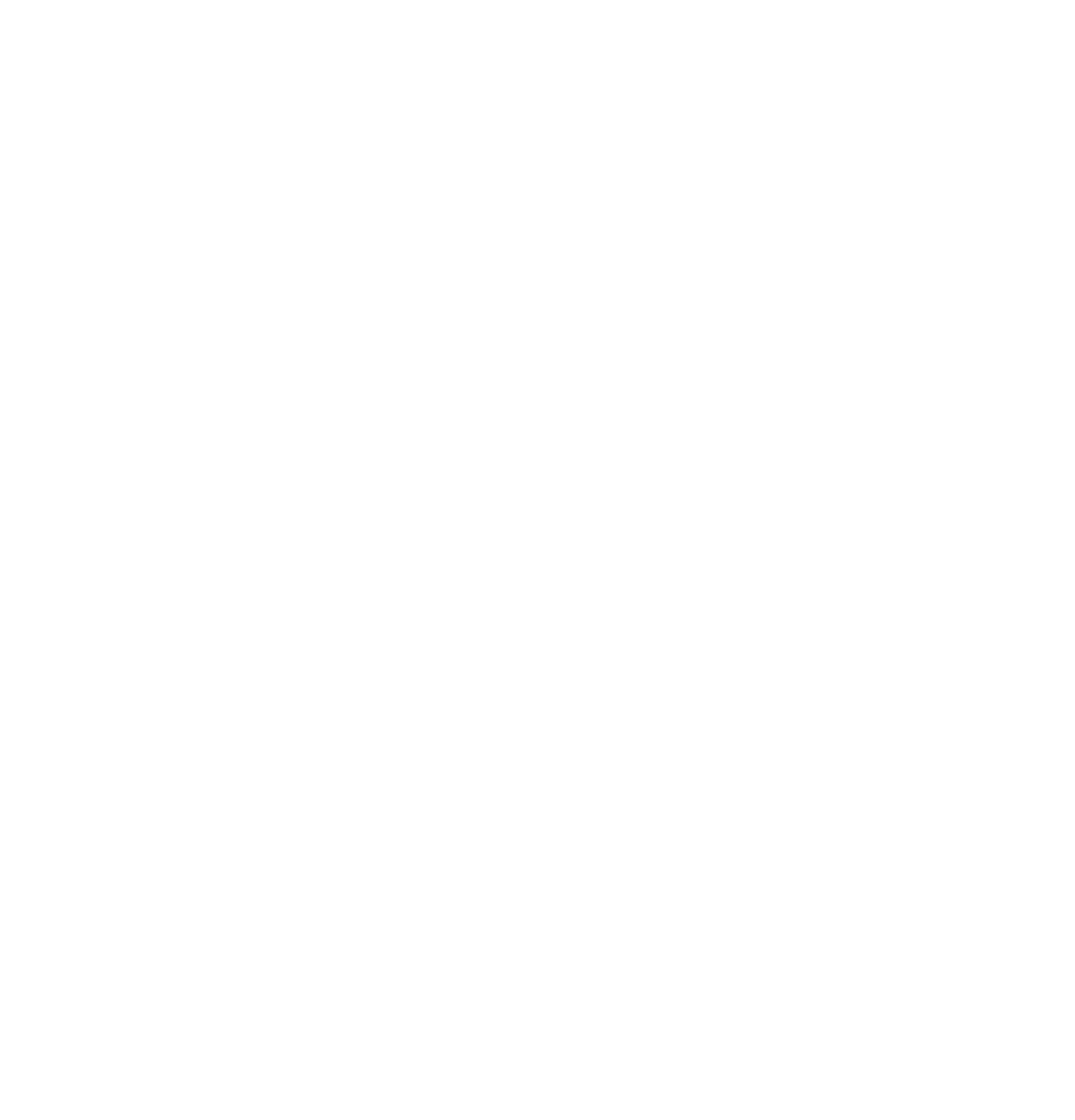 Torres Photo Co.