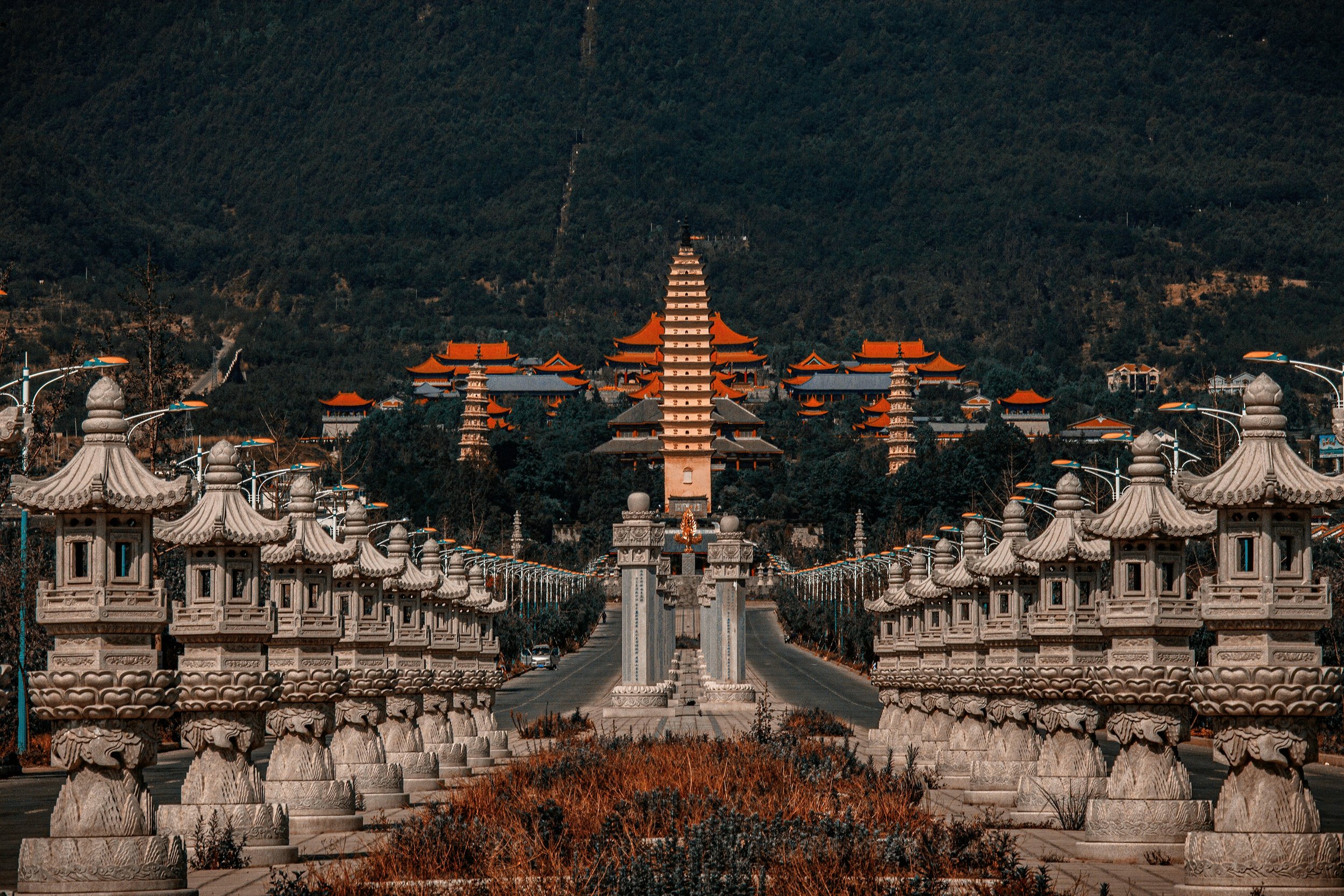 liuguangxi-vH_O17suSLU-unsplash.jpg