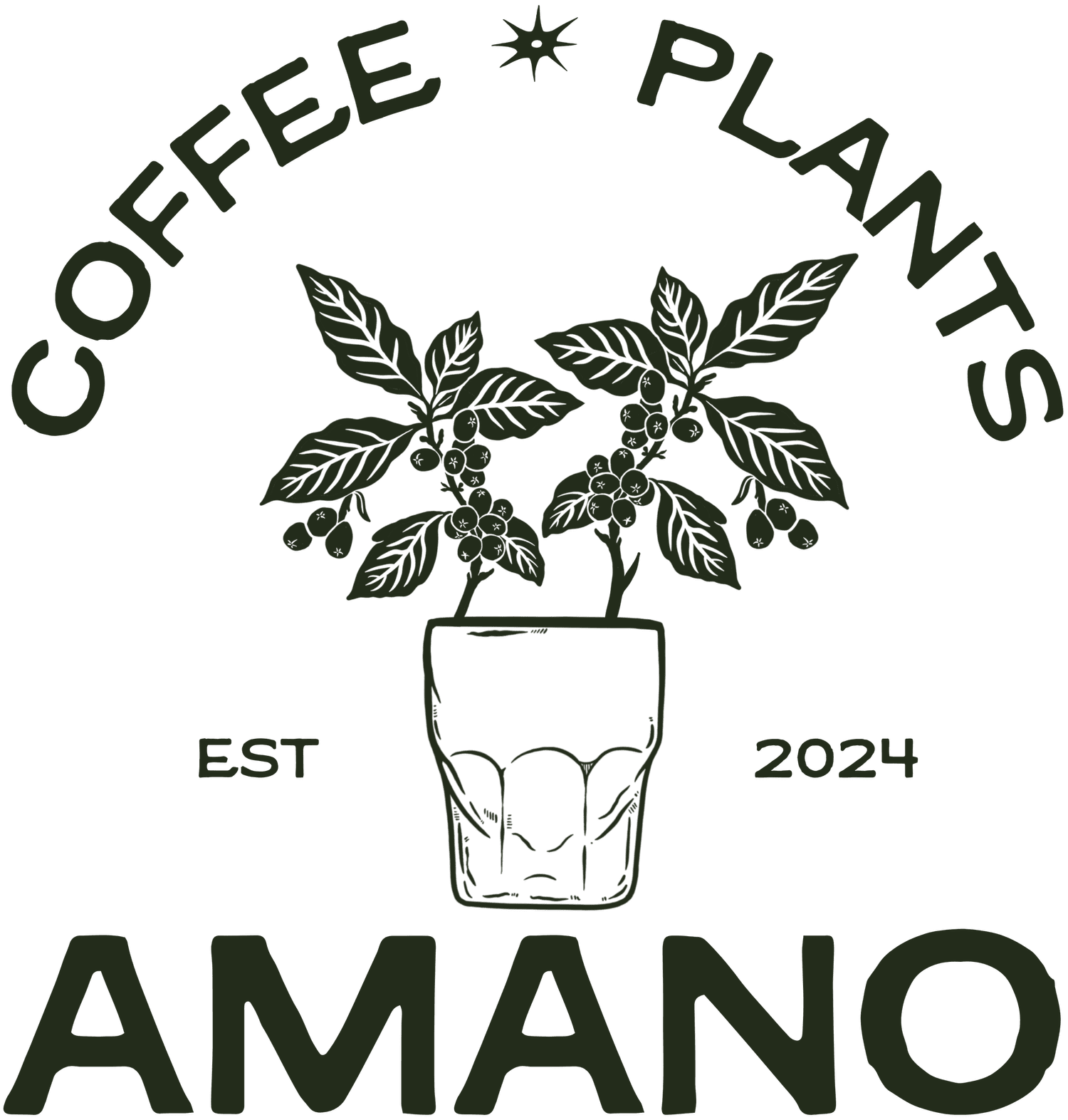 Amano coffee plants