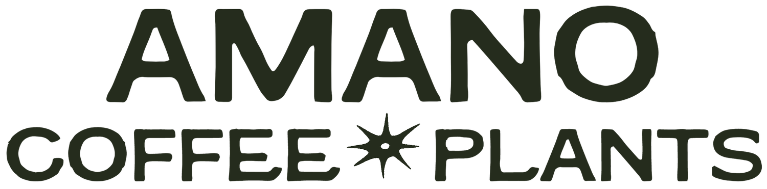 Amano Coffee &amp; Plants