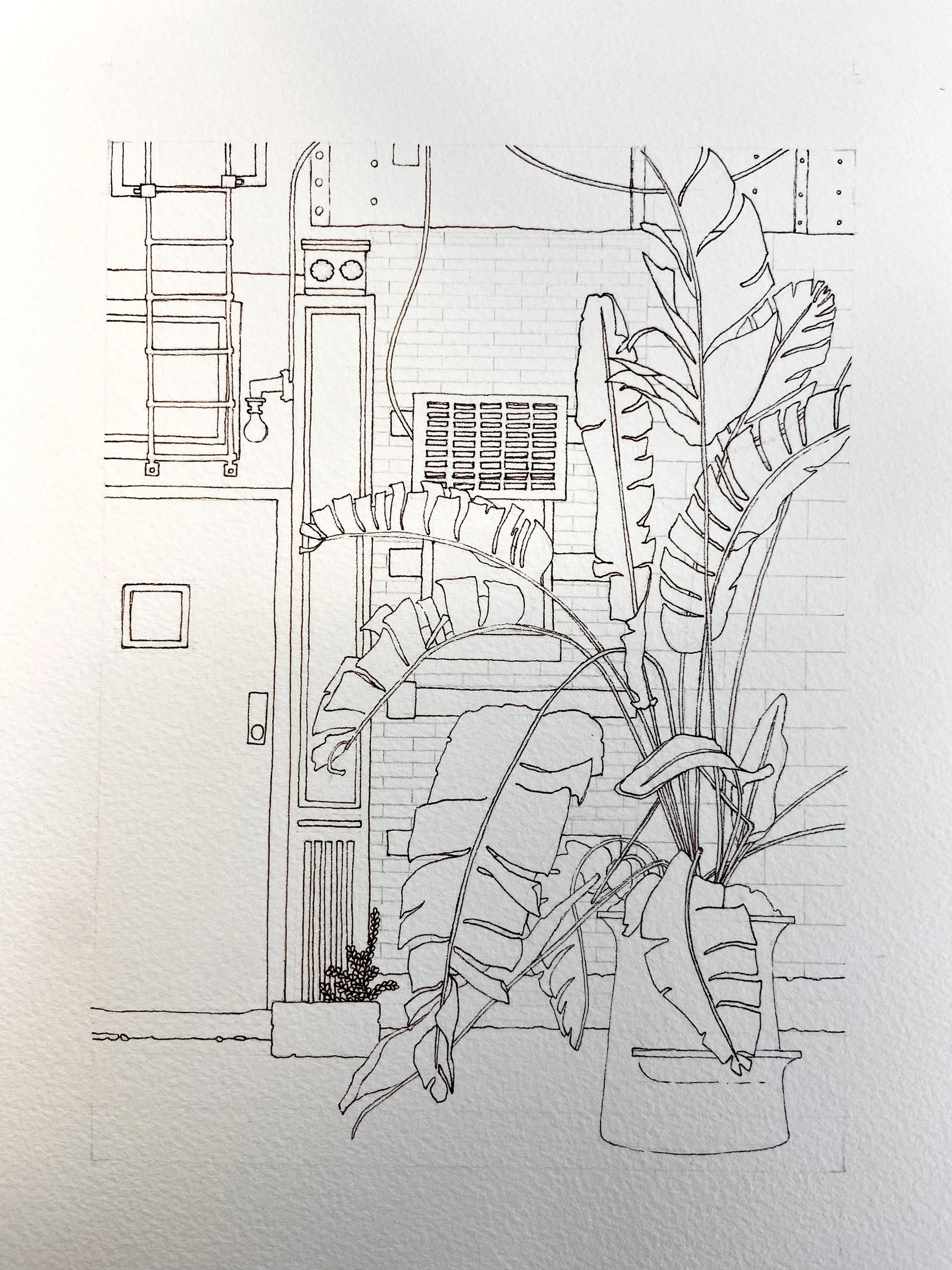 FullSizeRender 149.jpeg