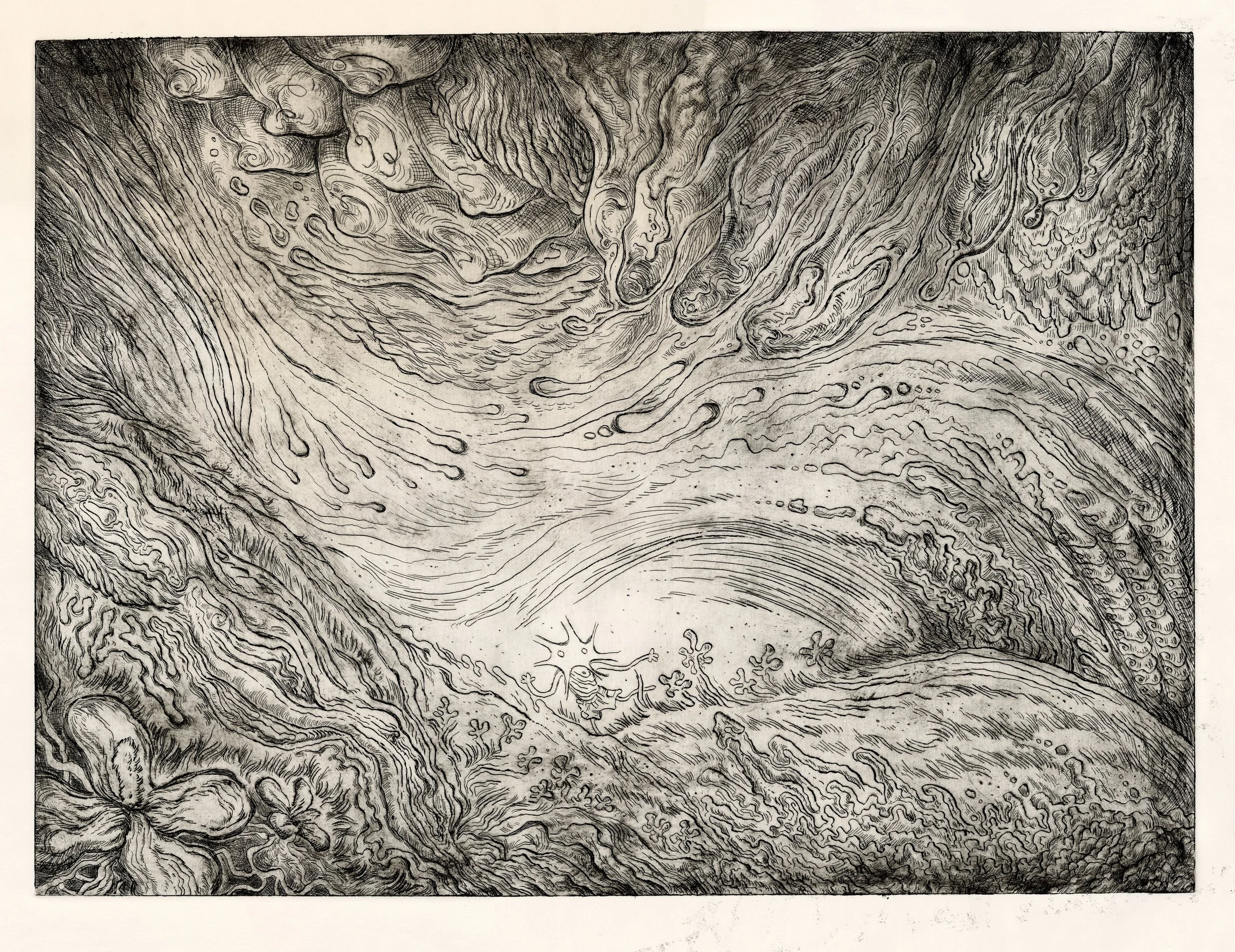 Mass Genitalia - 18 x 24" Intaglio