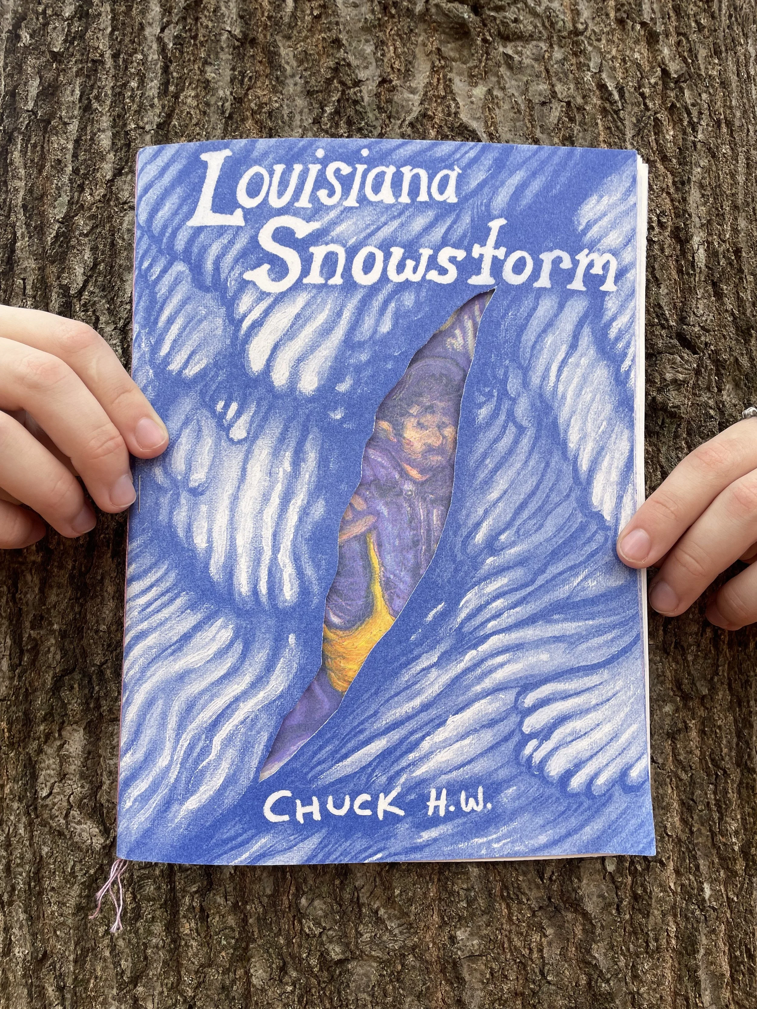 Louisiana Snowstorm: 12-Page Risograph Comic