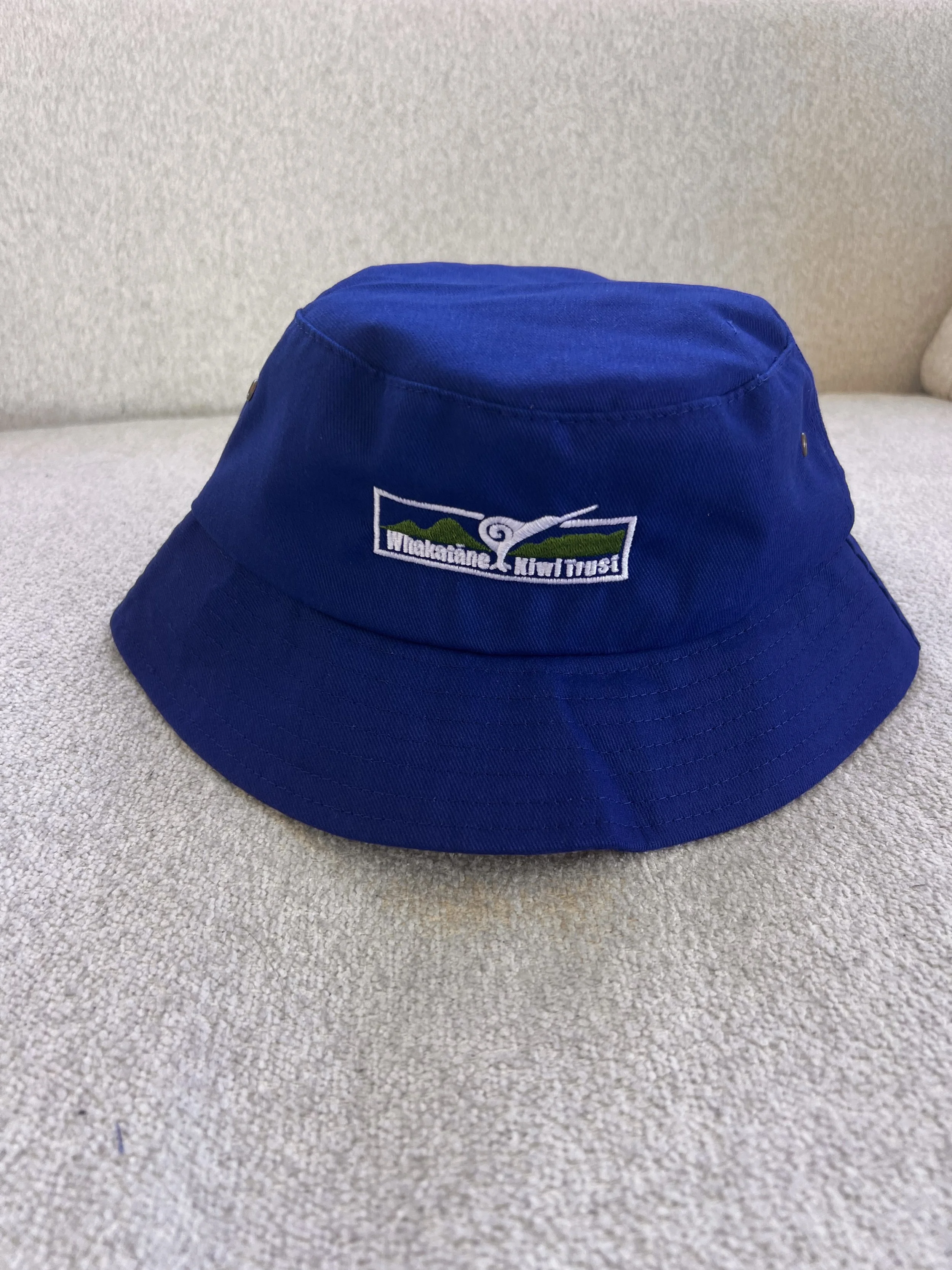 Royal Blue.jpeg