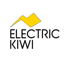 electrickiwi-1.png