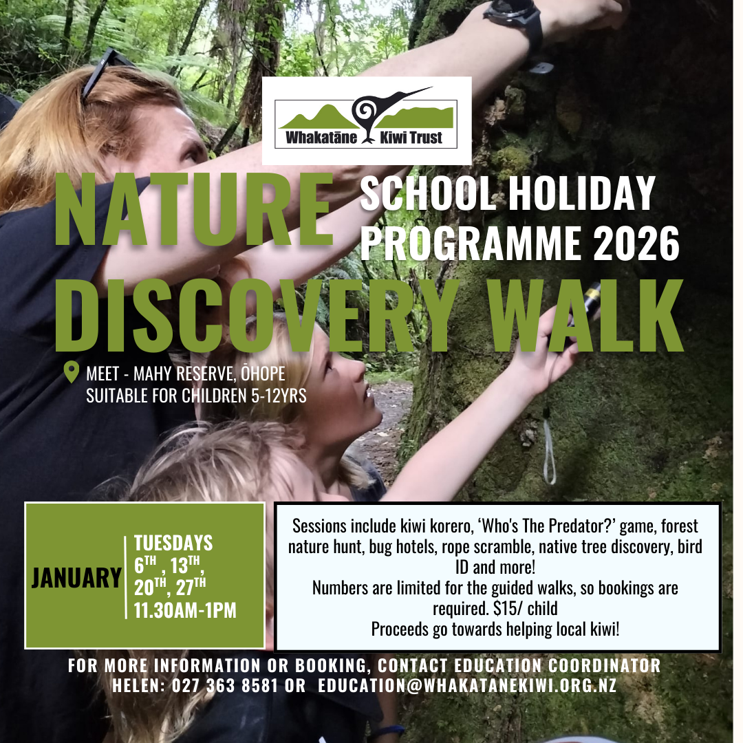 Nature Discovery Walk - School Holiday Programme 