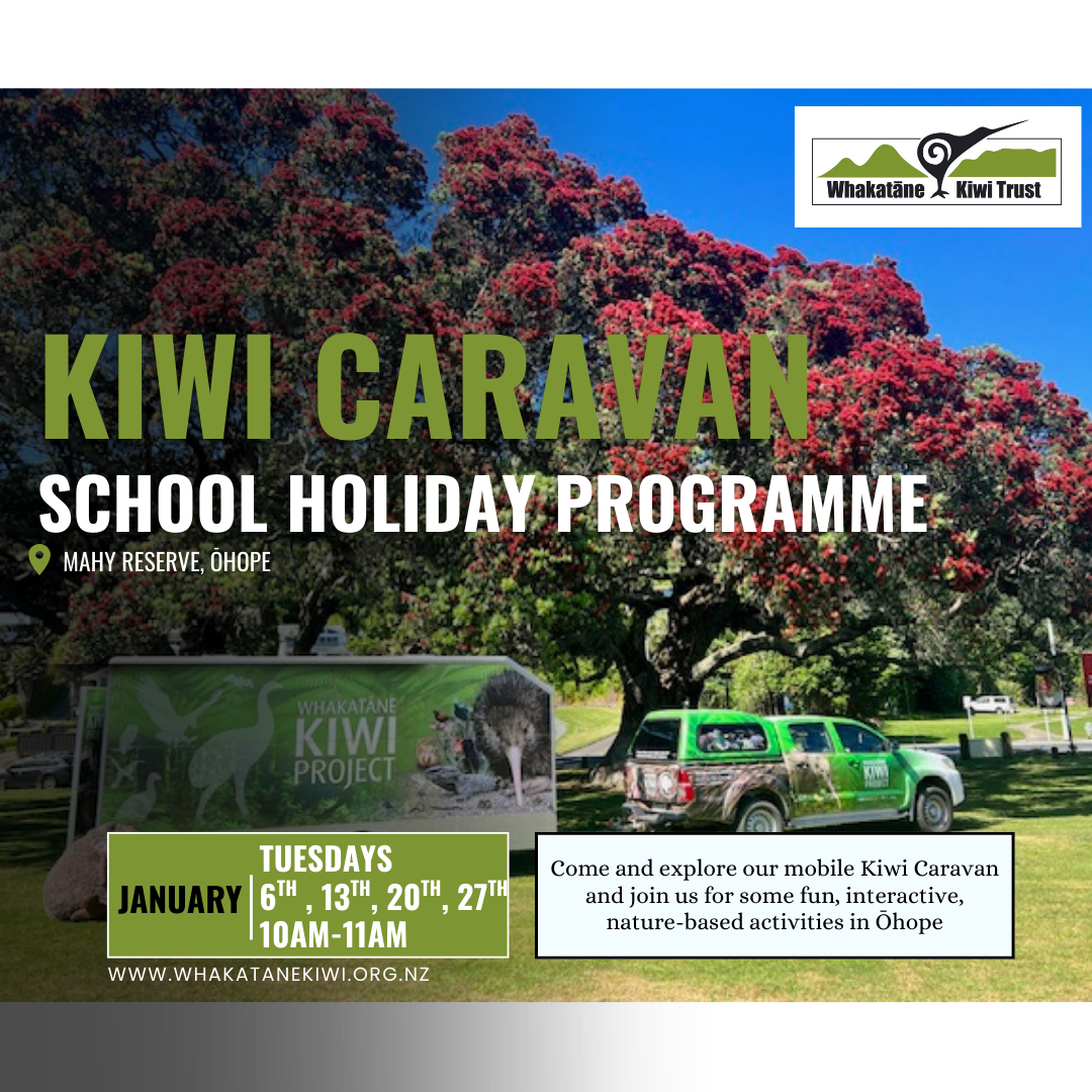 Kiwi Caravan - School Holiday Programme 