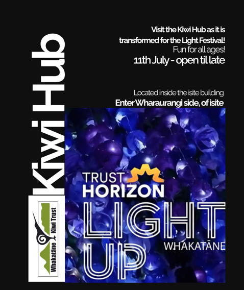 Trust Horizon Light Up Whakatane at the Kiwi Hub
