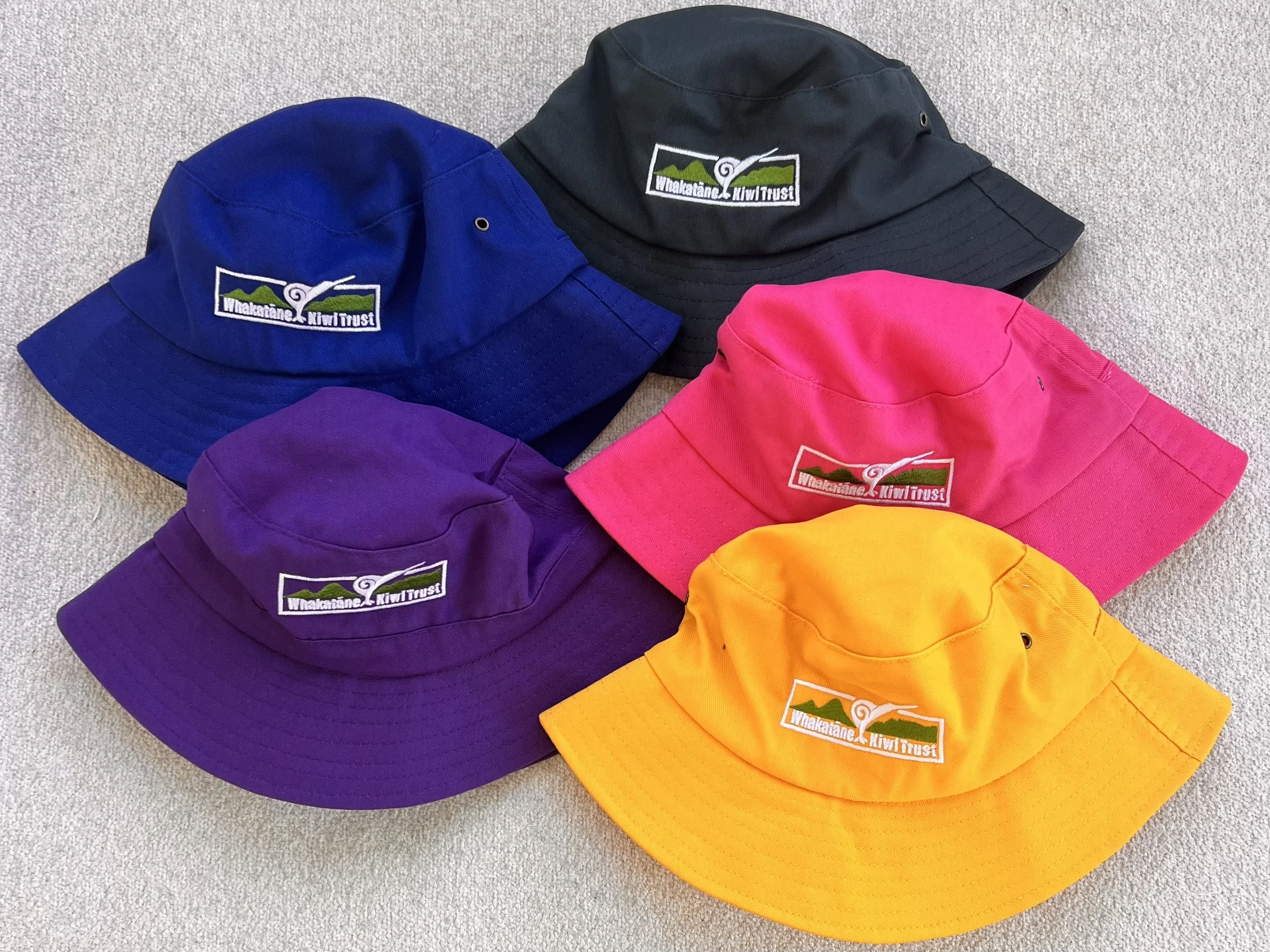 5 x colours.jpeg