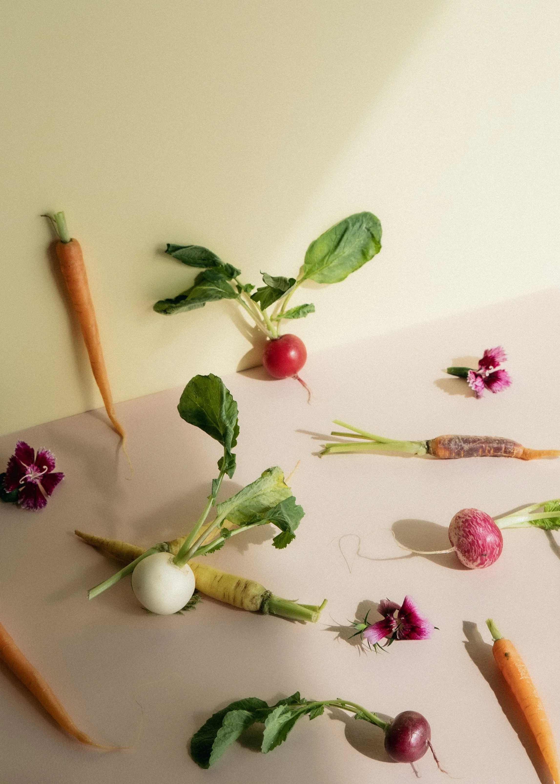 Fargerikt matfoto av rotgrønnsaker og blomster på lys bakgrunn for Skyskraperen Restaurant på Ulriken 643, kreativ matstyling og konseptfoto