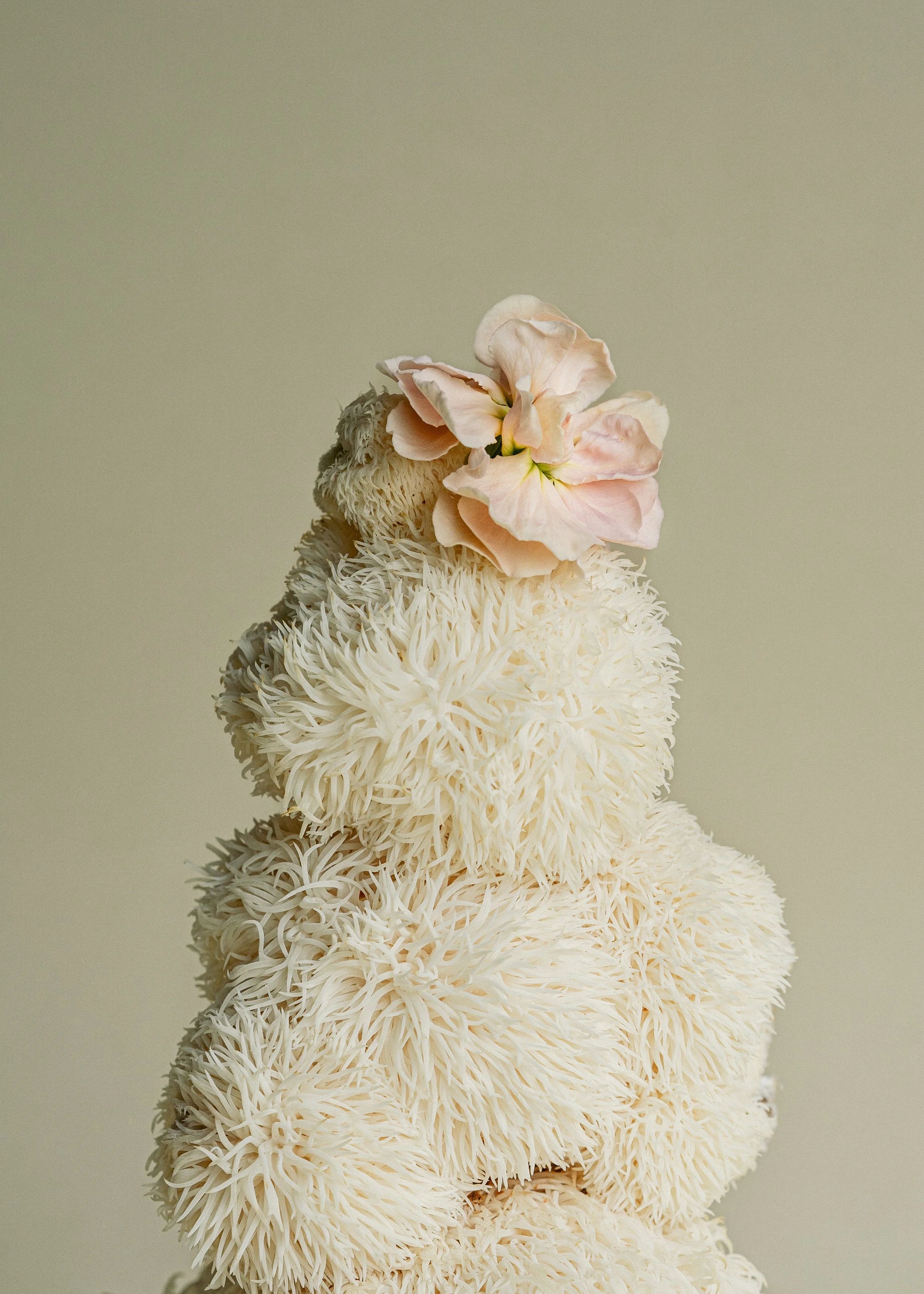 Konseptfoto av blomster og naturmaterialer, kreativ styling for reklamekampanje og sosial medier