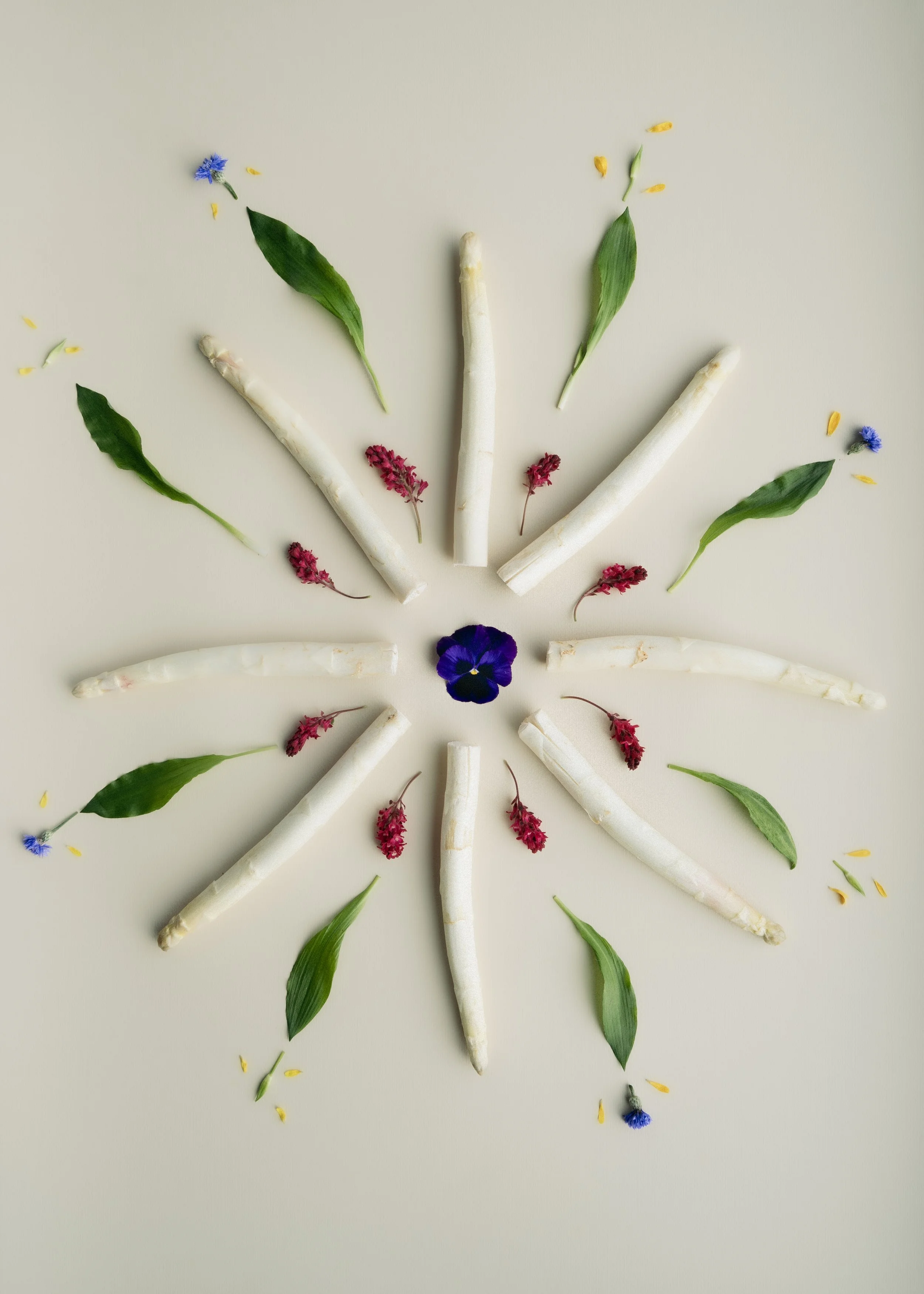 Konseptfoto med fargerike blomster og hvite stilker av blomster er arrangert i en symmetrisk, blomsterrund form på en lys bakgrunn.