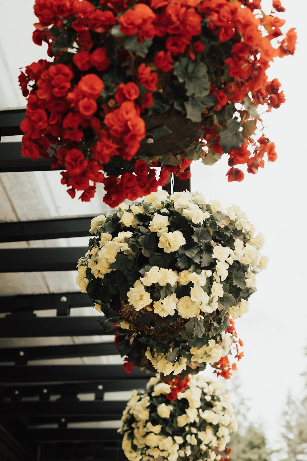 weiser2-Nomadbynk (31 of 37).jpg