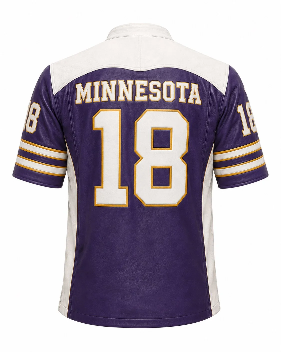Minnesota Snap Back.jpeg