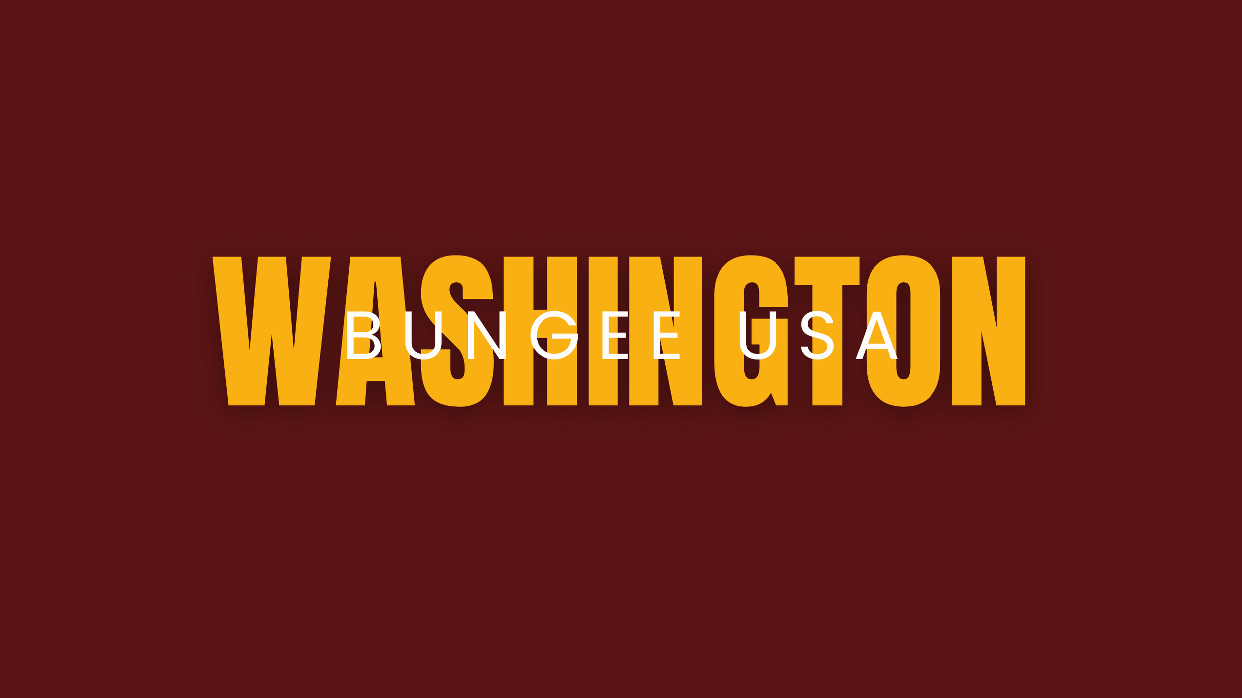 Washington Banner.png