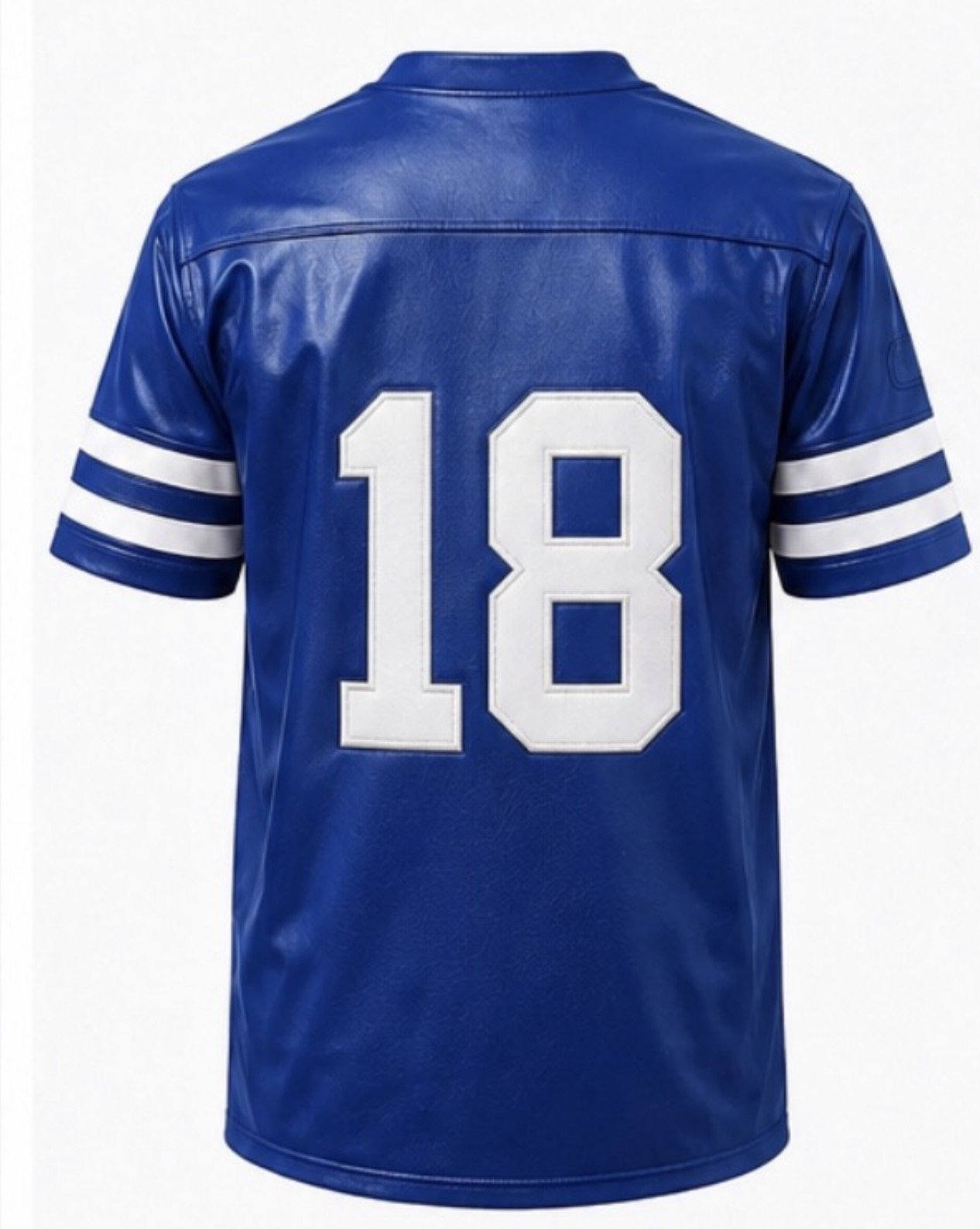 Indianapolis Short Sleeve Back.jpeg