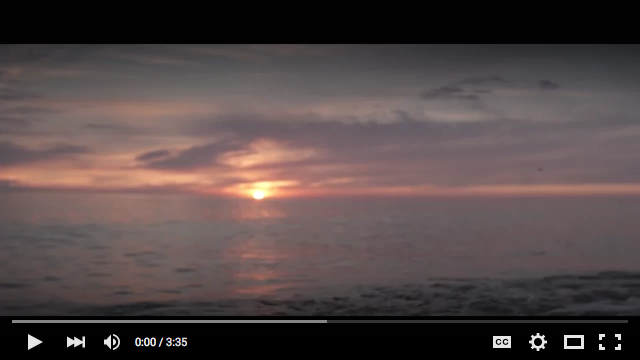 Screen Shot 2015-08-20 at 1.14.02 PM.png