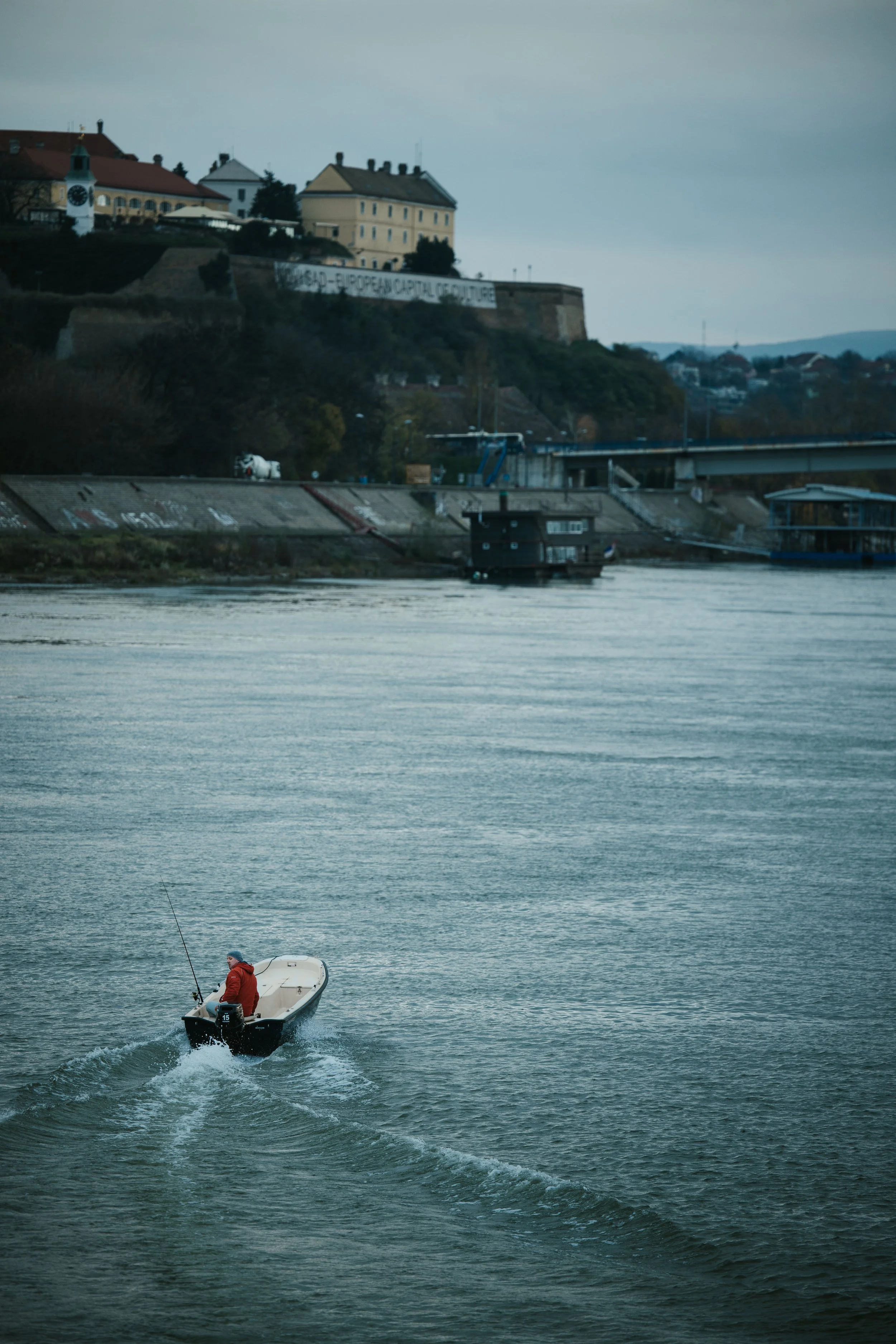 NOVI but PRINT-2.jpg
