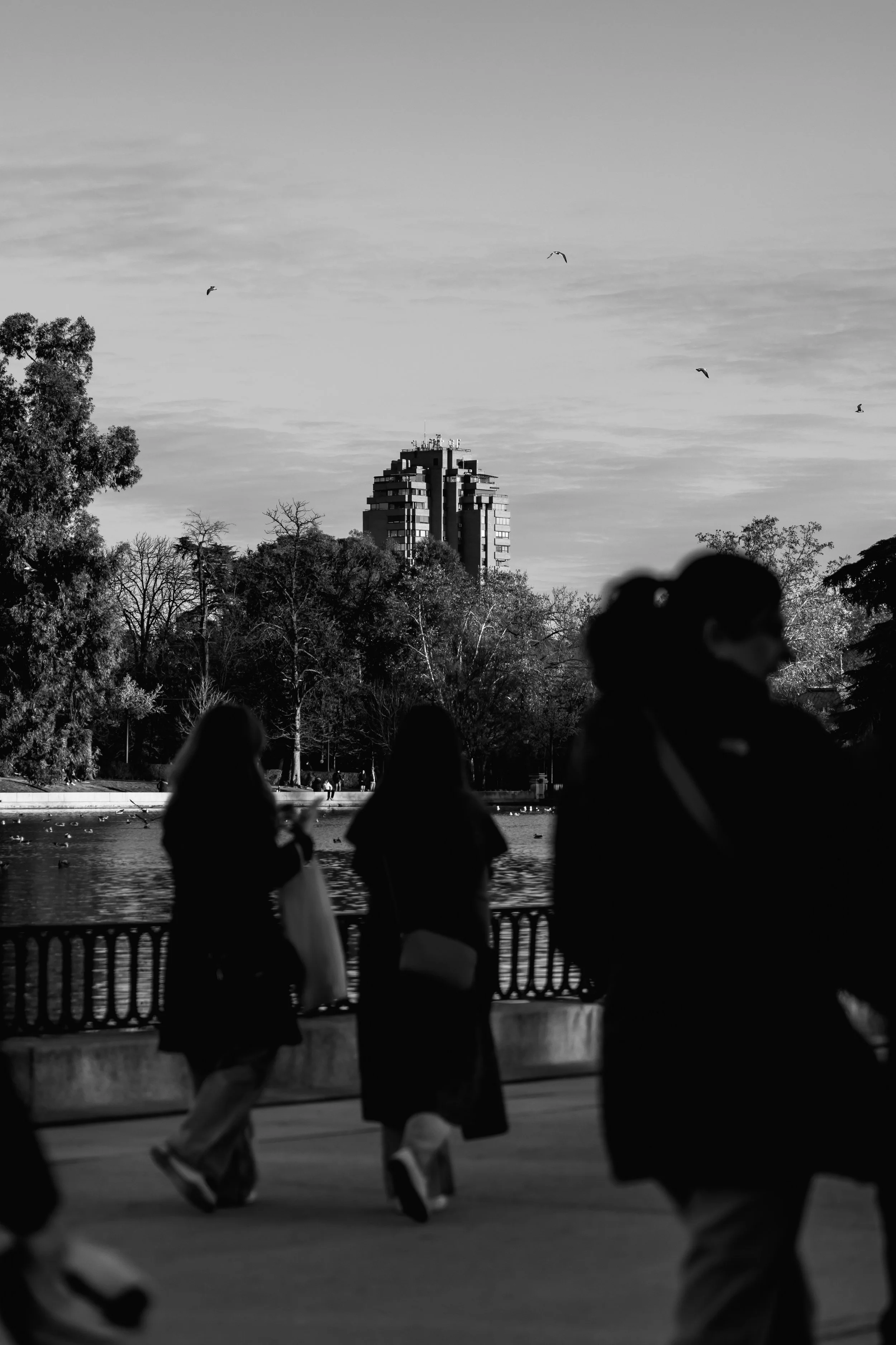 MC MADRID57.jpg