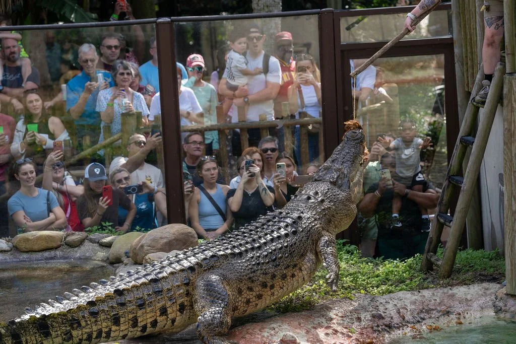 Whiskey, Wine &amp; Wildlife: Alligator Farm VIP Behind the Scenes Tour and Reception