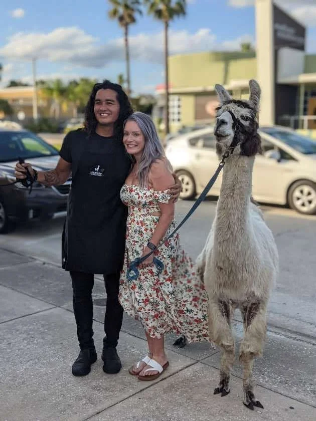 Llama - Marcel Staci.jpg