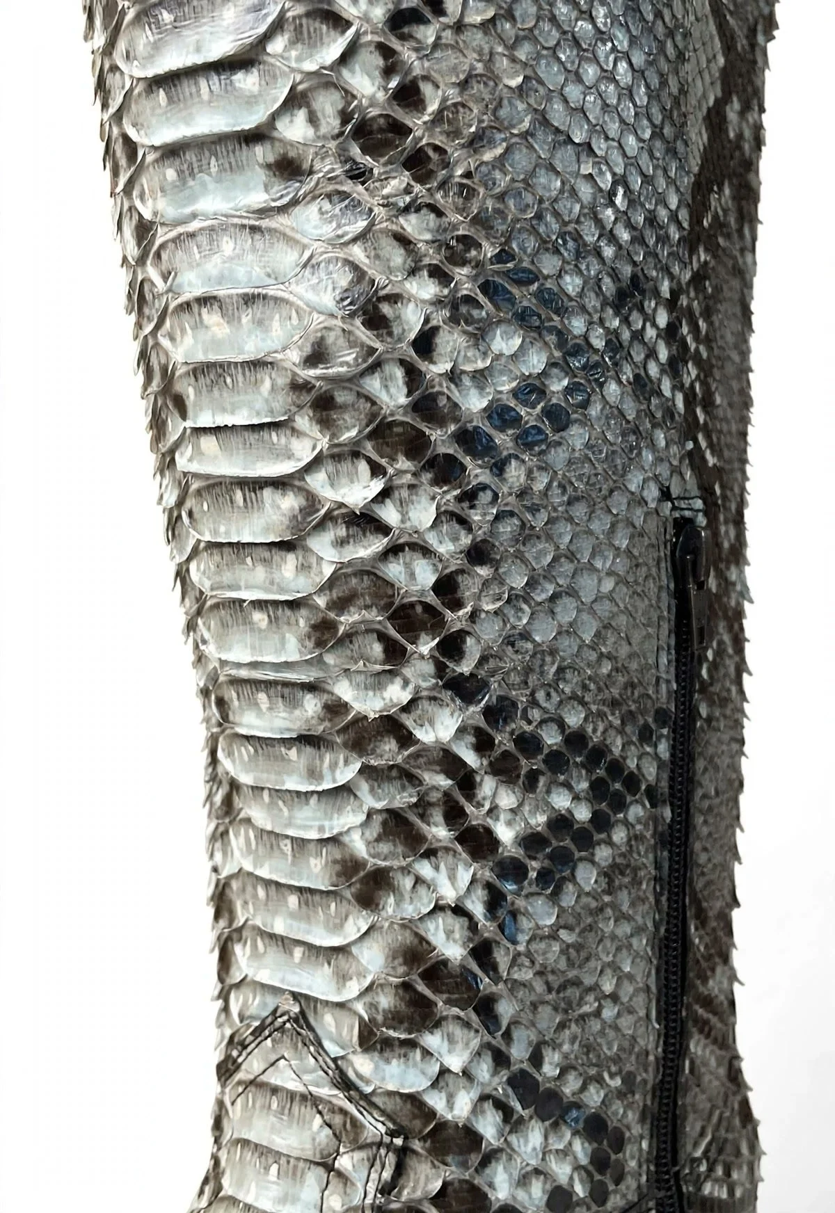 gray-python-detail.jpg