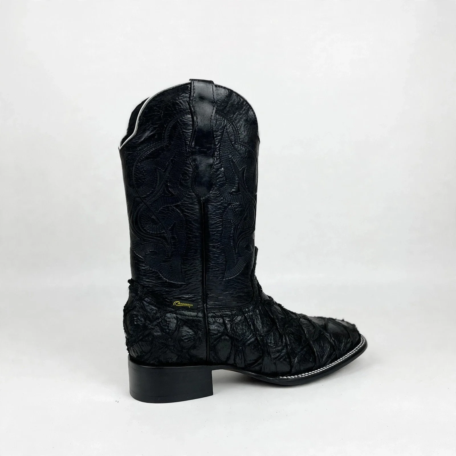 pirarucu-black-back.jpg