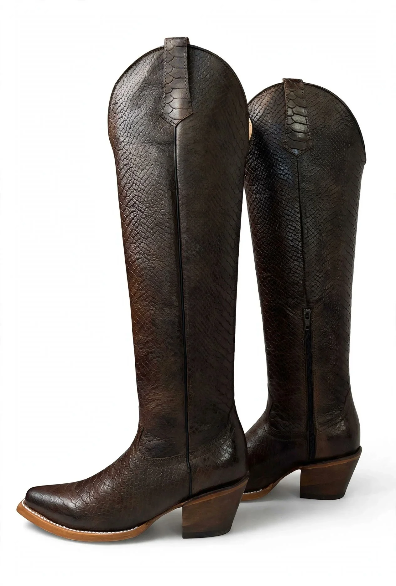 brown-python-side.jpg